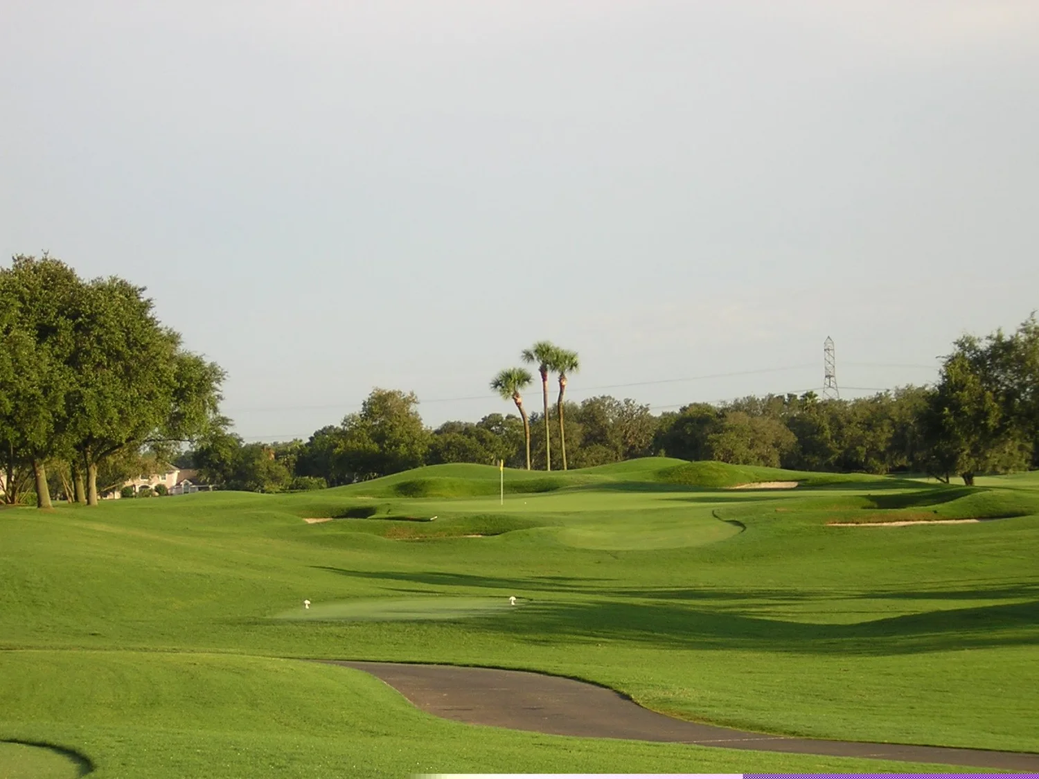 Bay Hill — PHOTO GALLERY