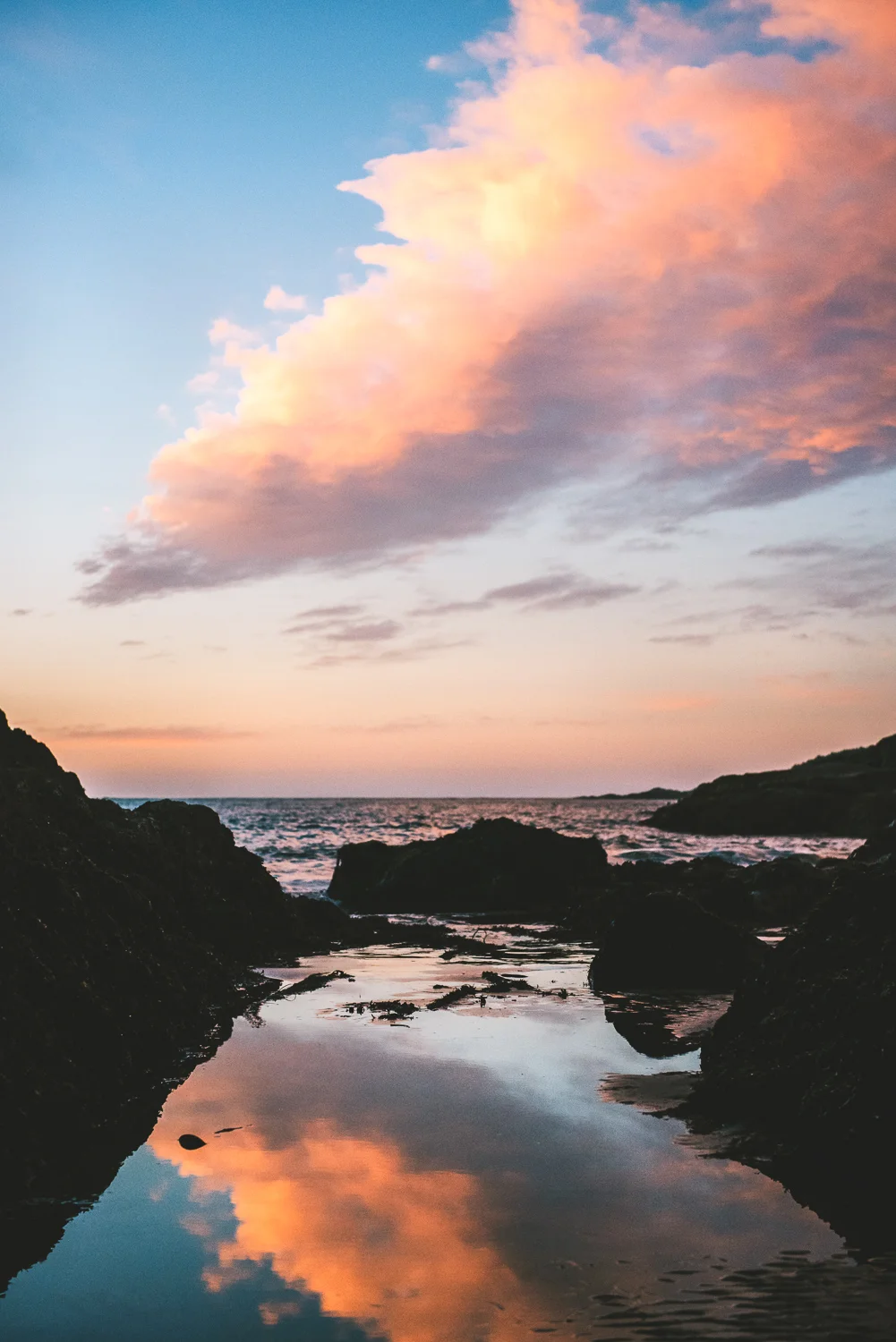 scapes-9.jpg