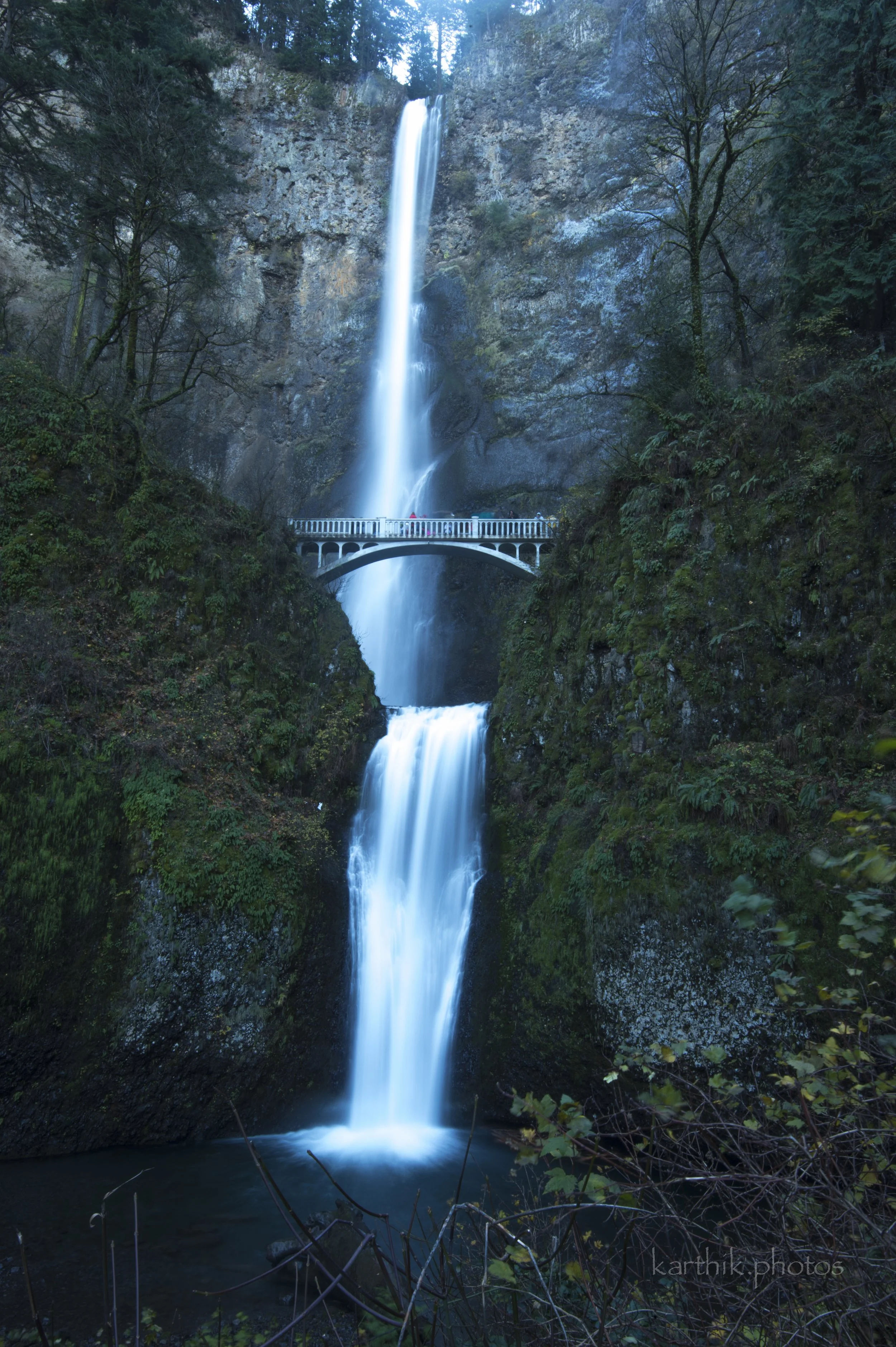 22780039913_69608f0c6e_o.jpg