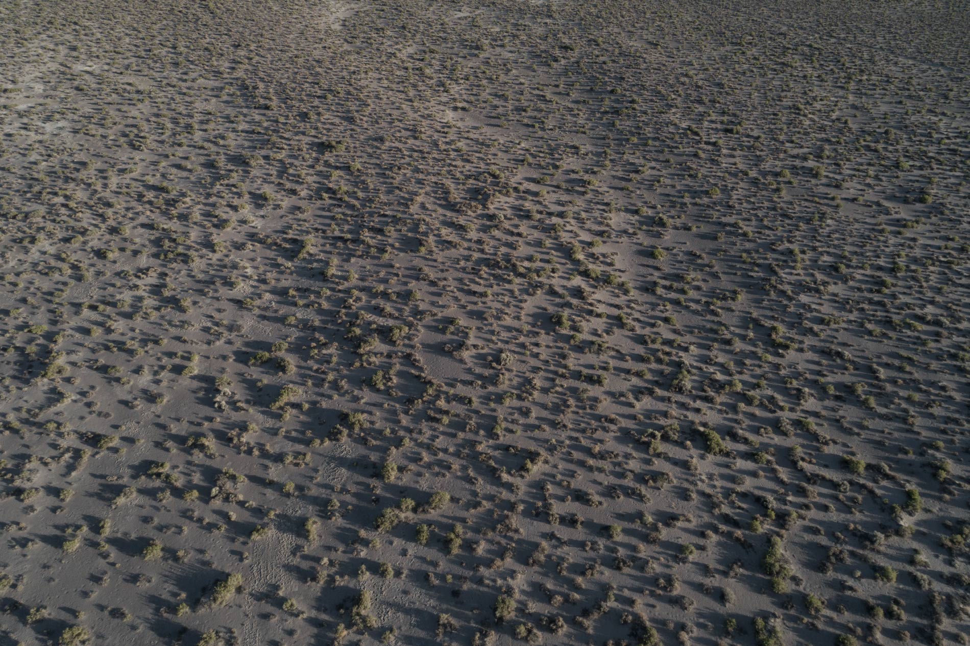   The barren field #01 (Manzanar, California)  
