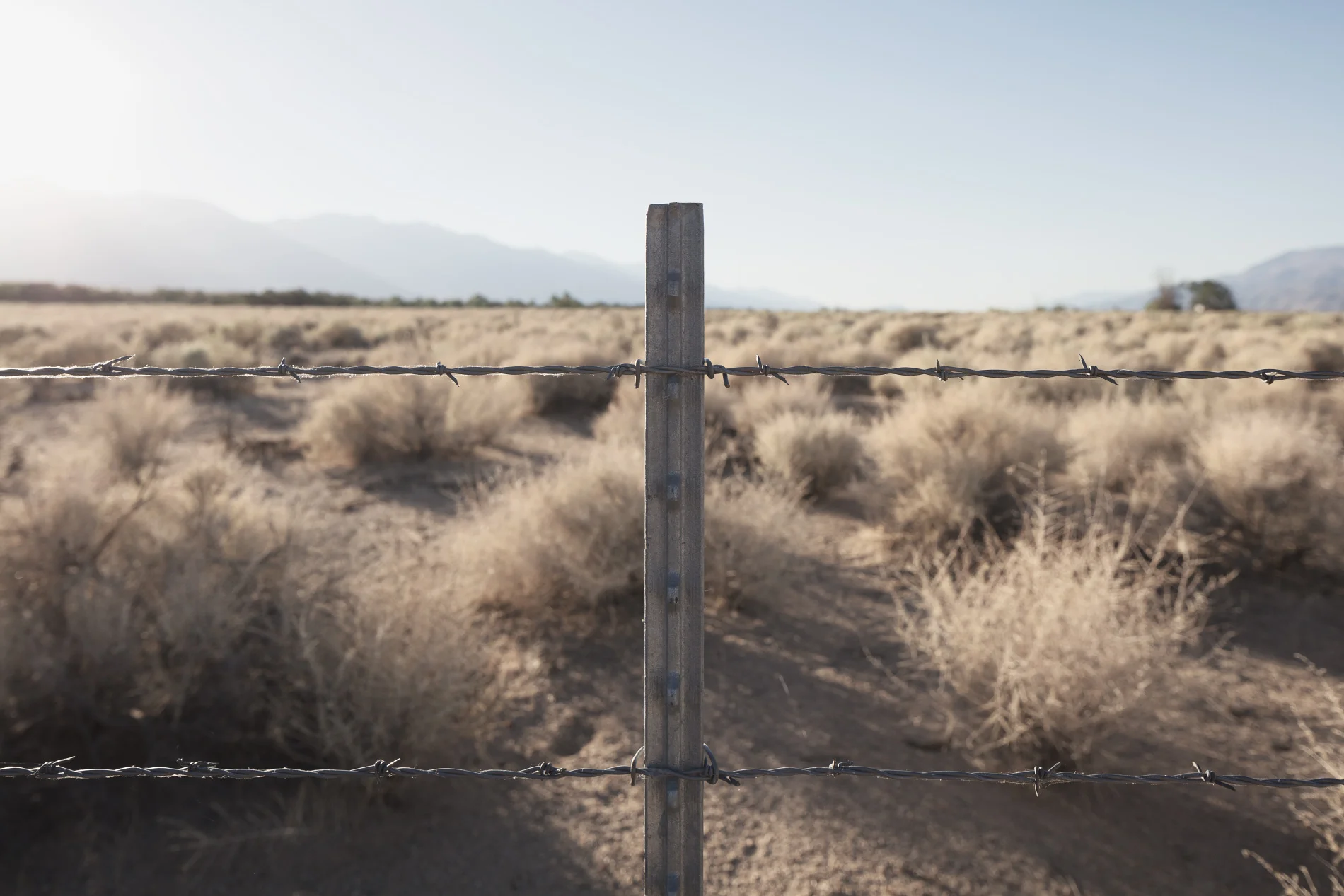 Title: The fence (Manzanar, California)