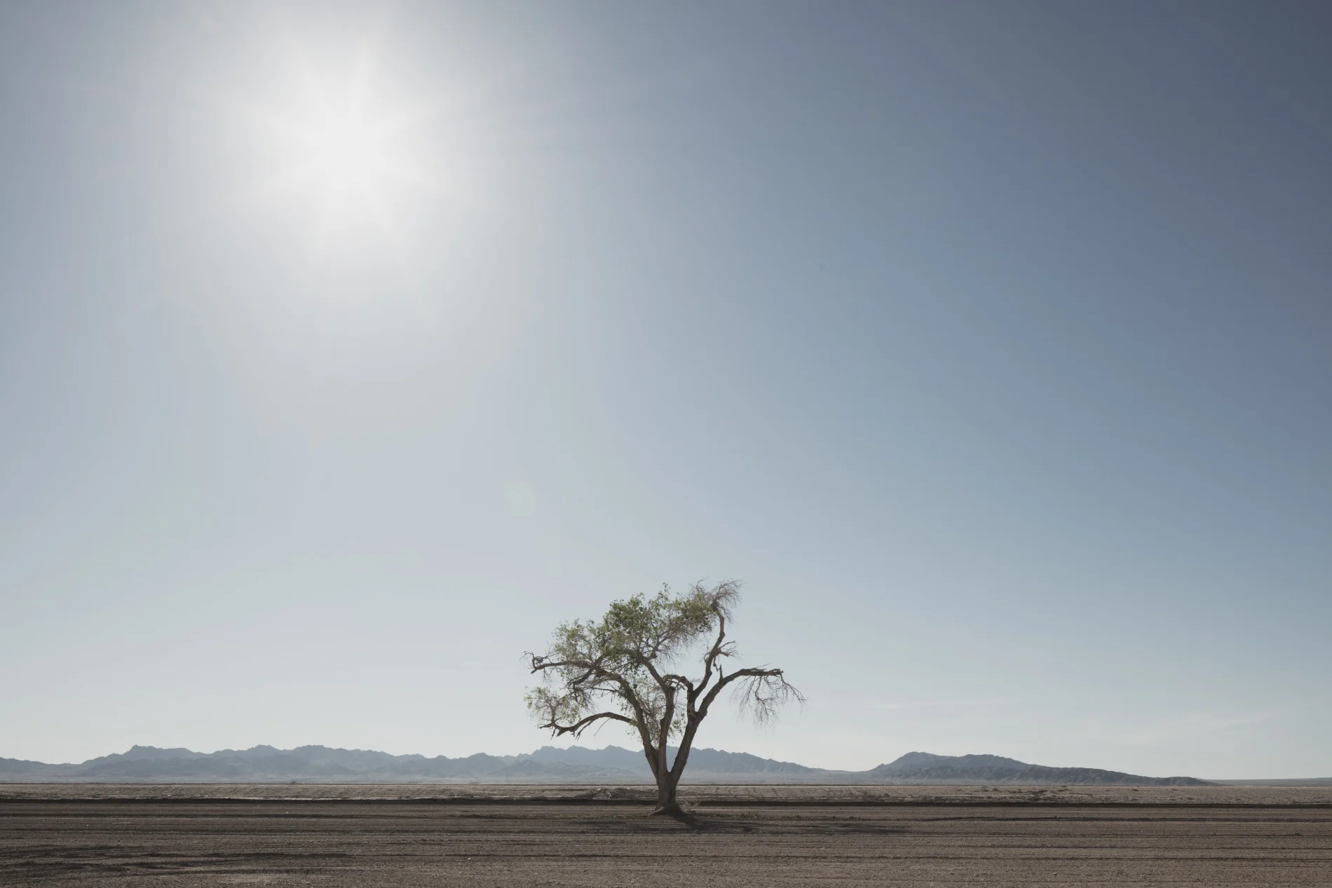 Title: The way to new home #03 (Parker, Arizona)