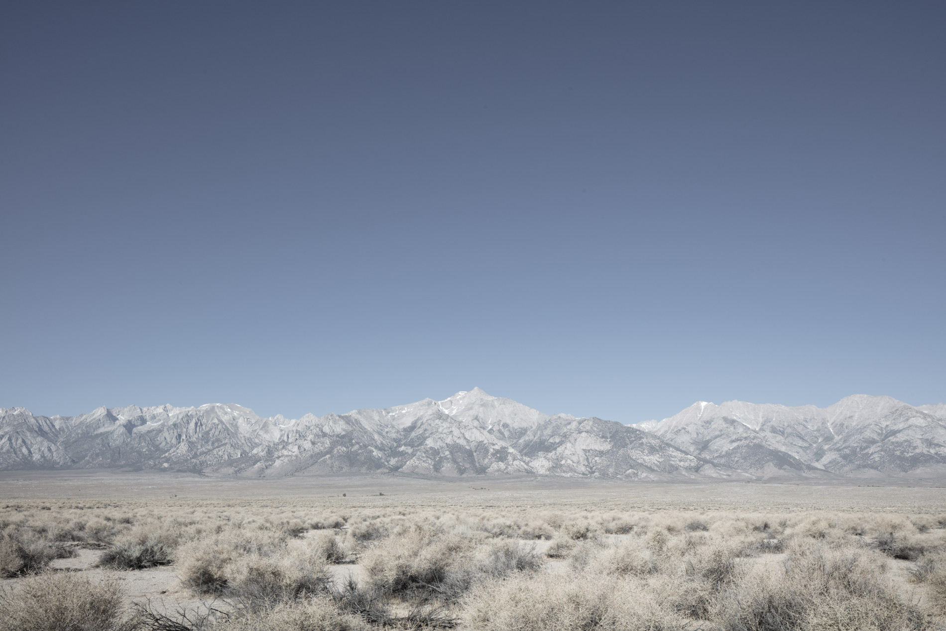   The landscape they saw upon arrival (Manzanar, California)  