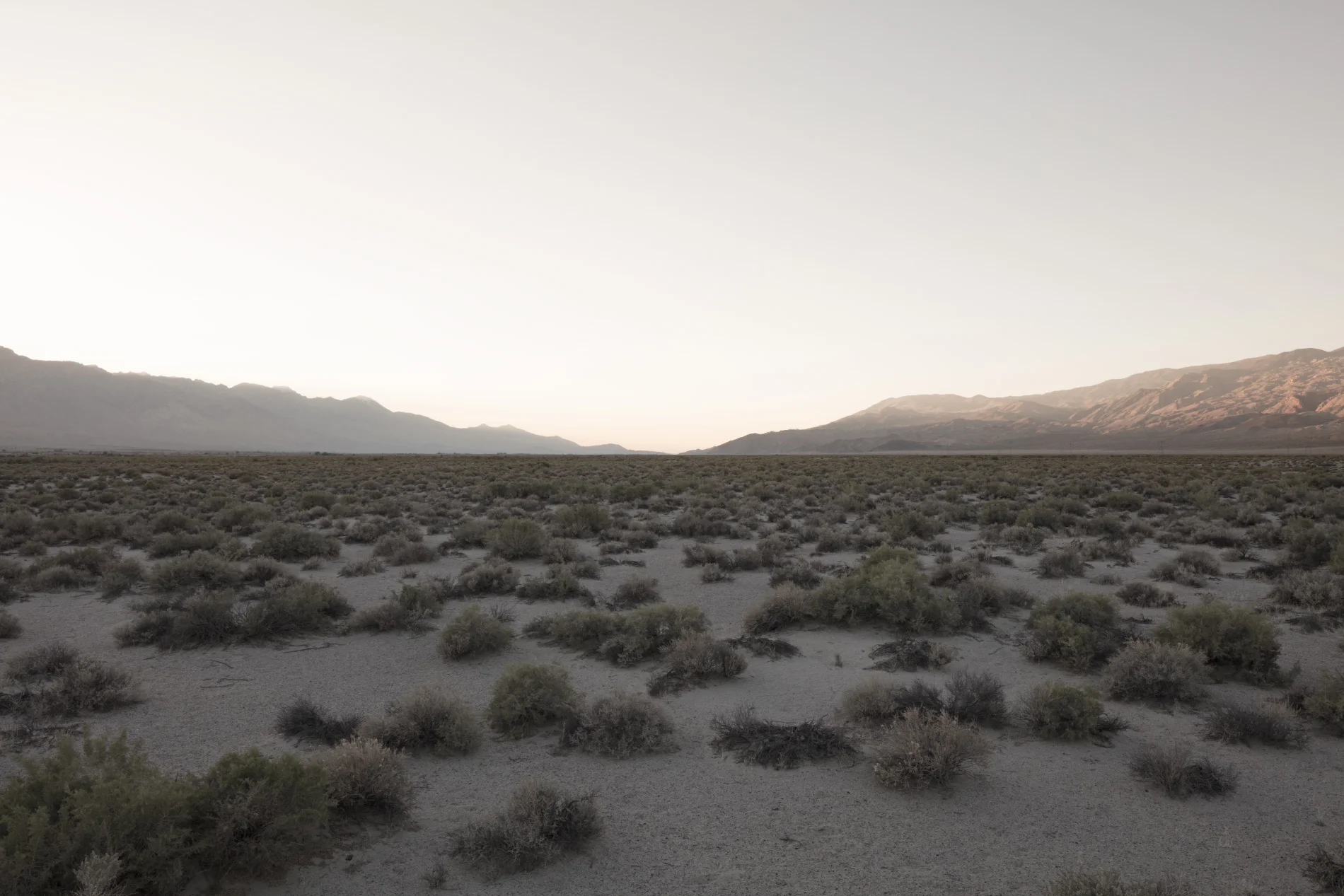 Title: First day in the camp #01 (Manzanar, California)