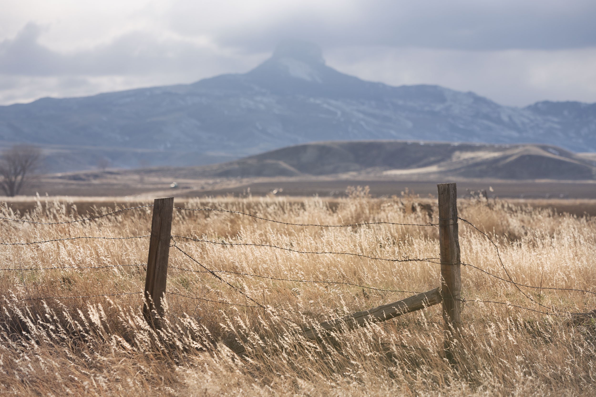   The fence (Powell, Wyoming)  