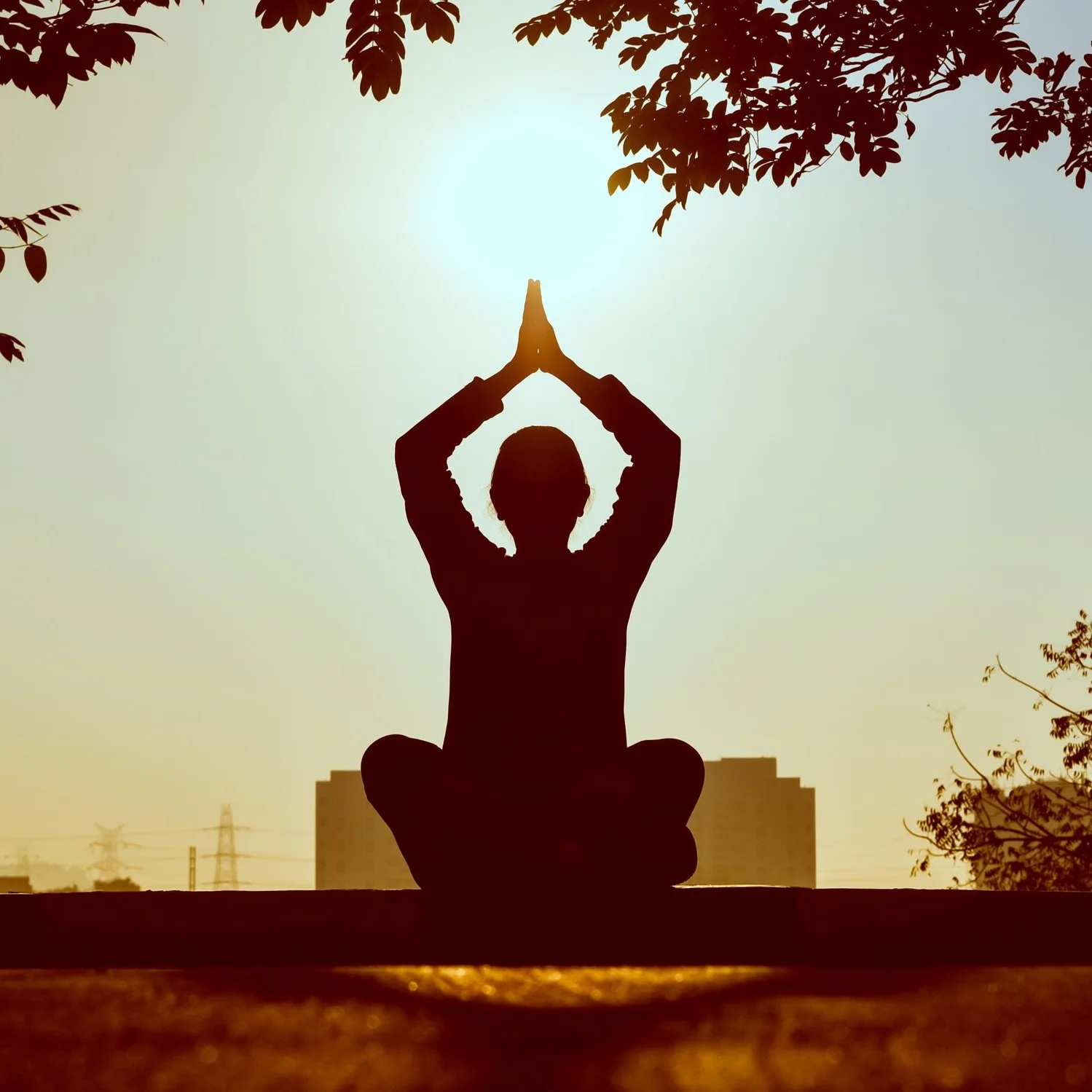 backlit-meditating-meditation-1051838.jpg
