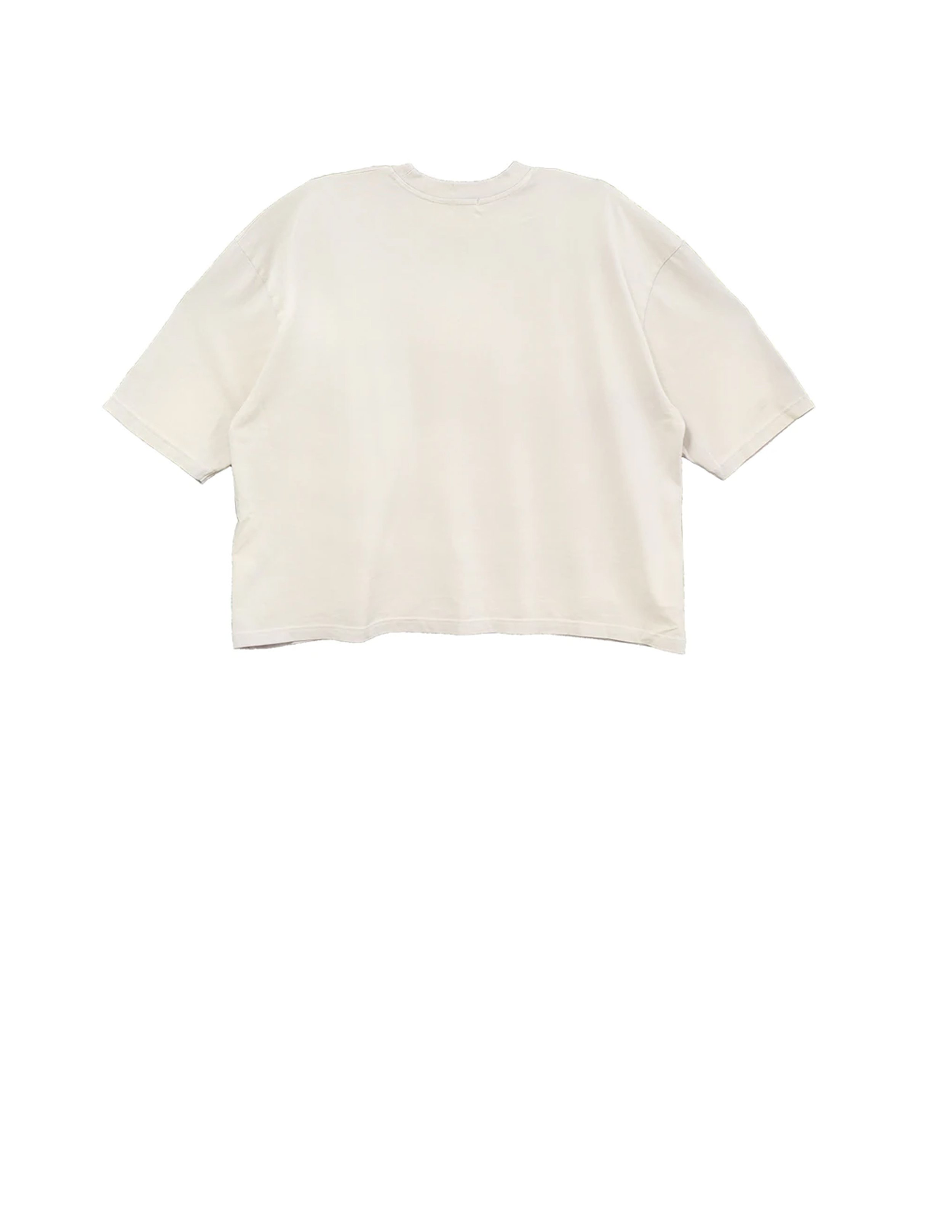 SS Buffalo T Dorian Gray Back.jpg