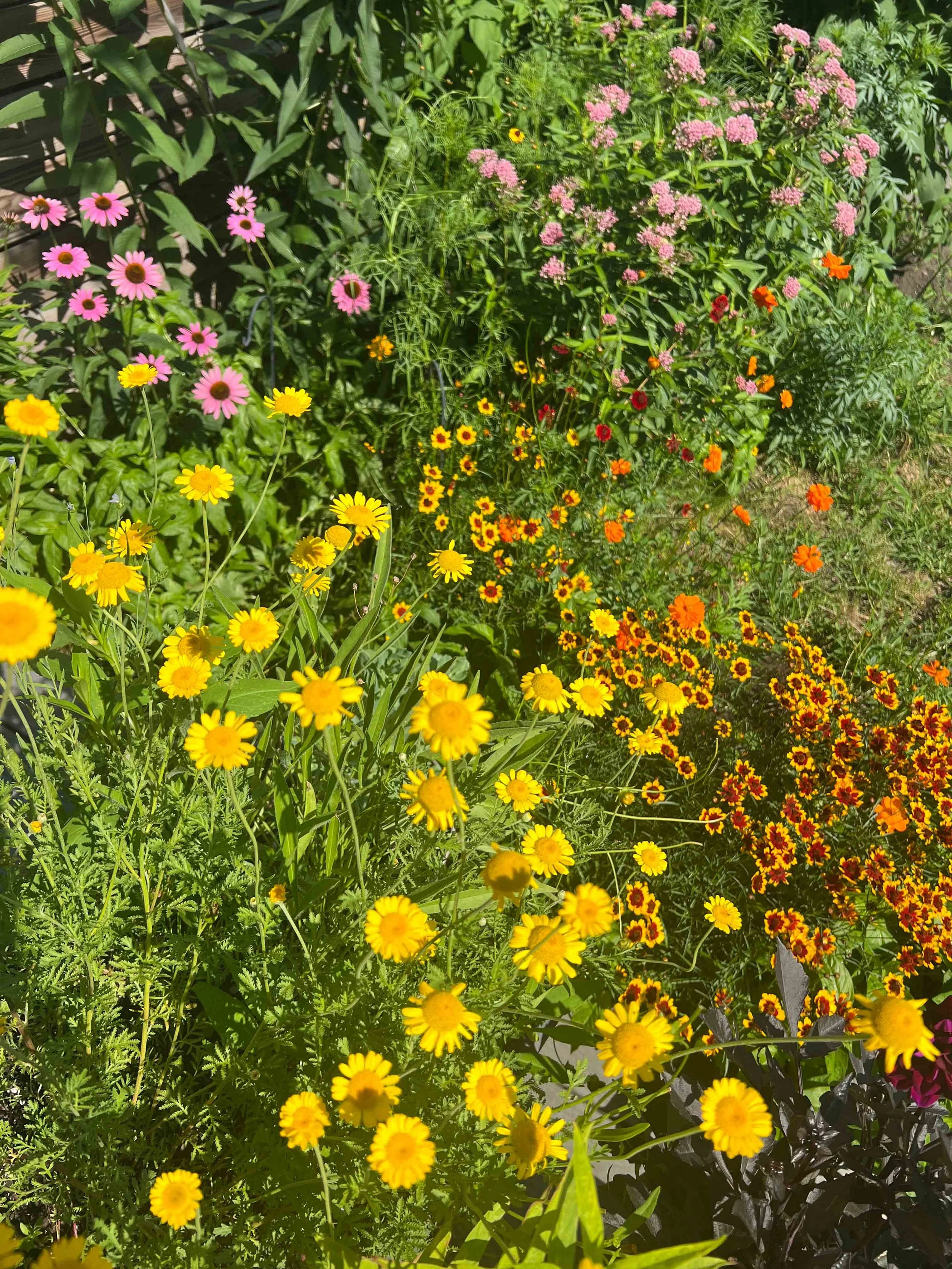 Dye Garden Starter Workshop + Bundle Dye  Workshop- Thursday, April 30th, 6-8:30 PM