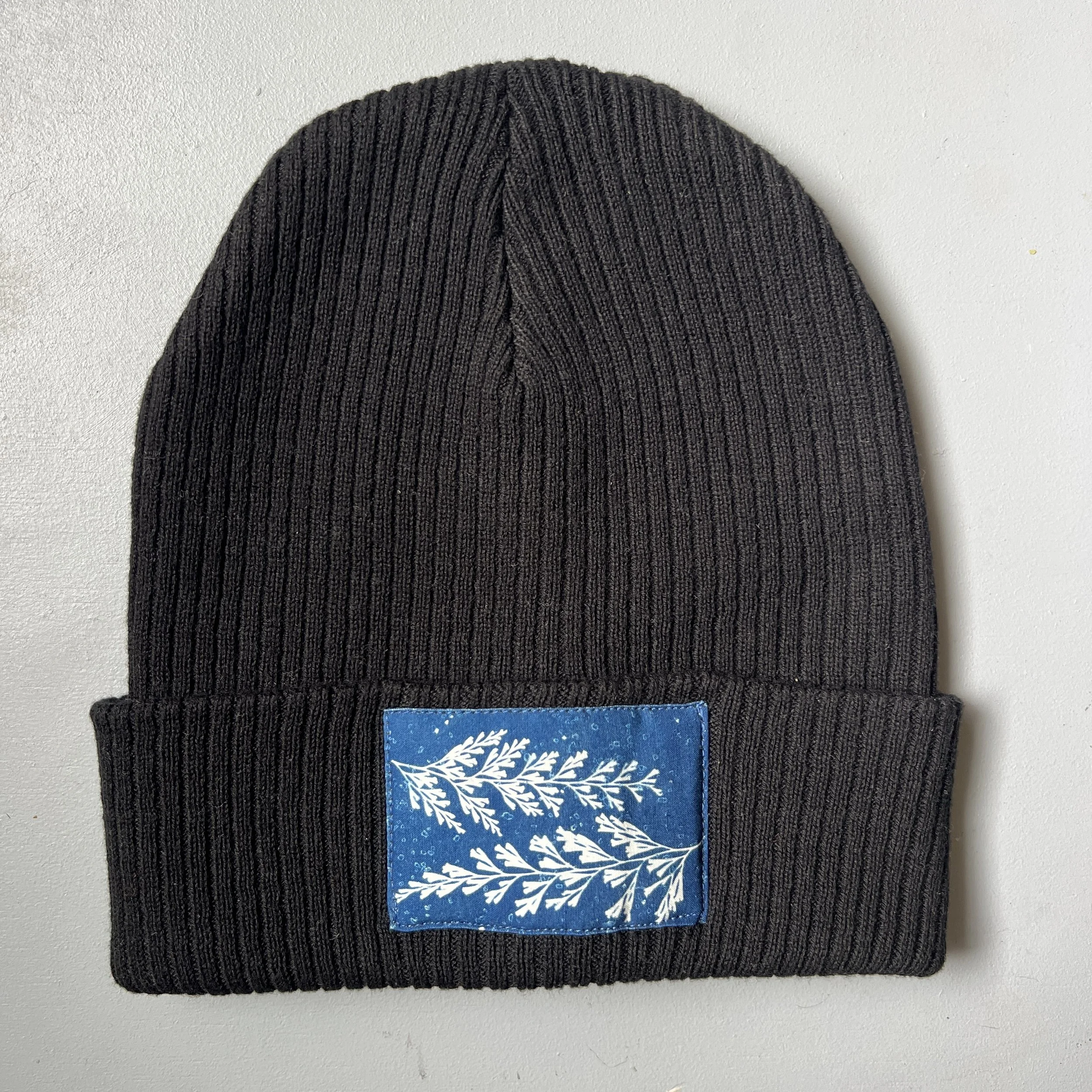 IMG_4885.jpg