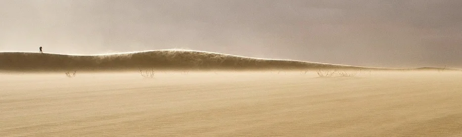 AT on dune.jpg