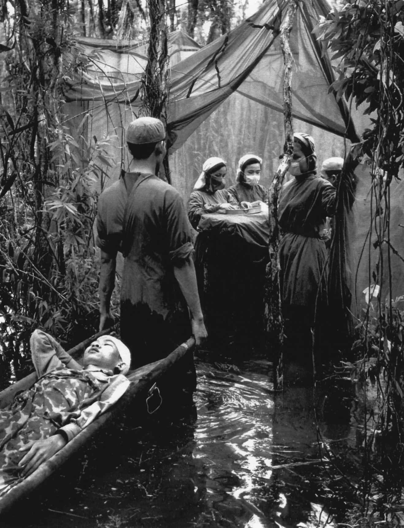 Jungle Hospital.jpg