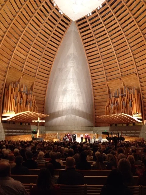 image-1.jpg