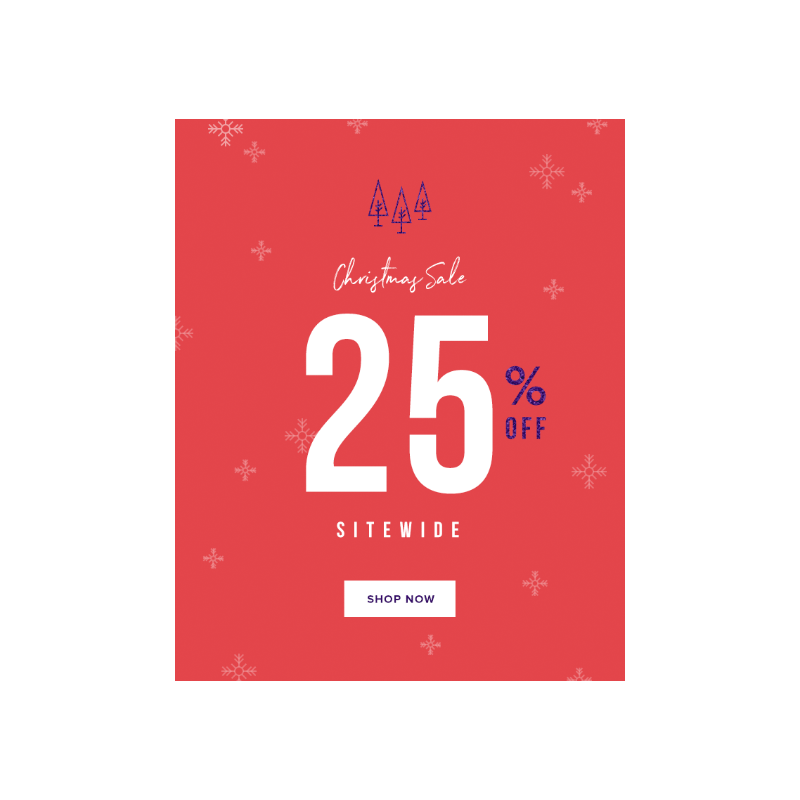 Christmas Sale Email Banner Template