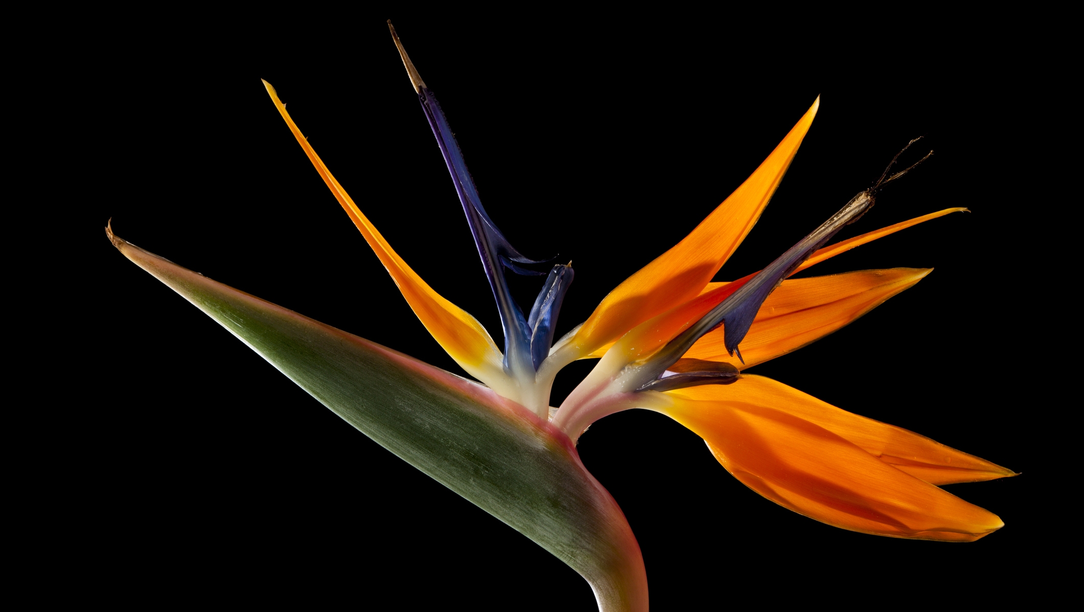 Photo by eyewave/iStock / Getty Images