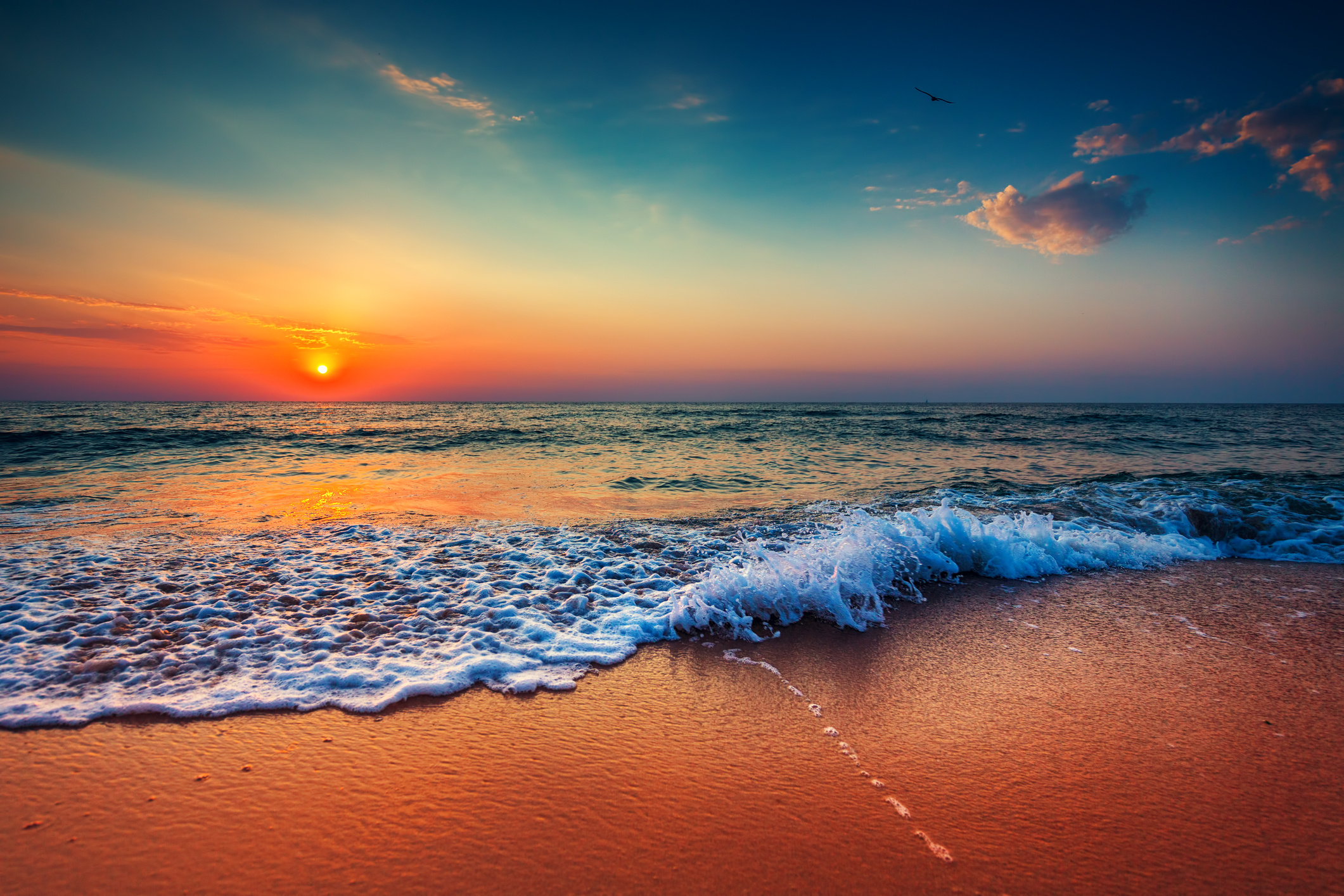 Photo by valio84sl/iStock / Getty Images
