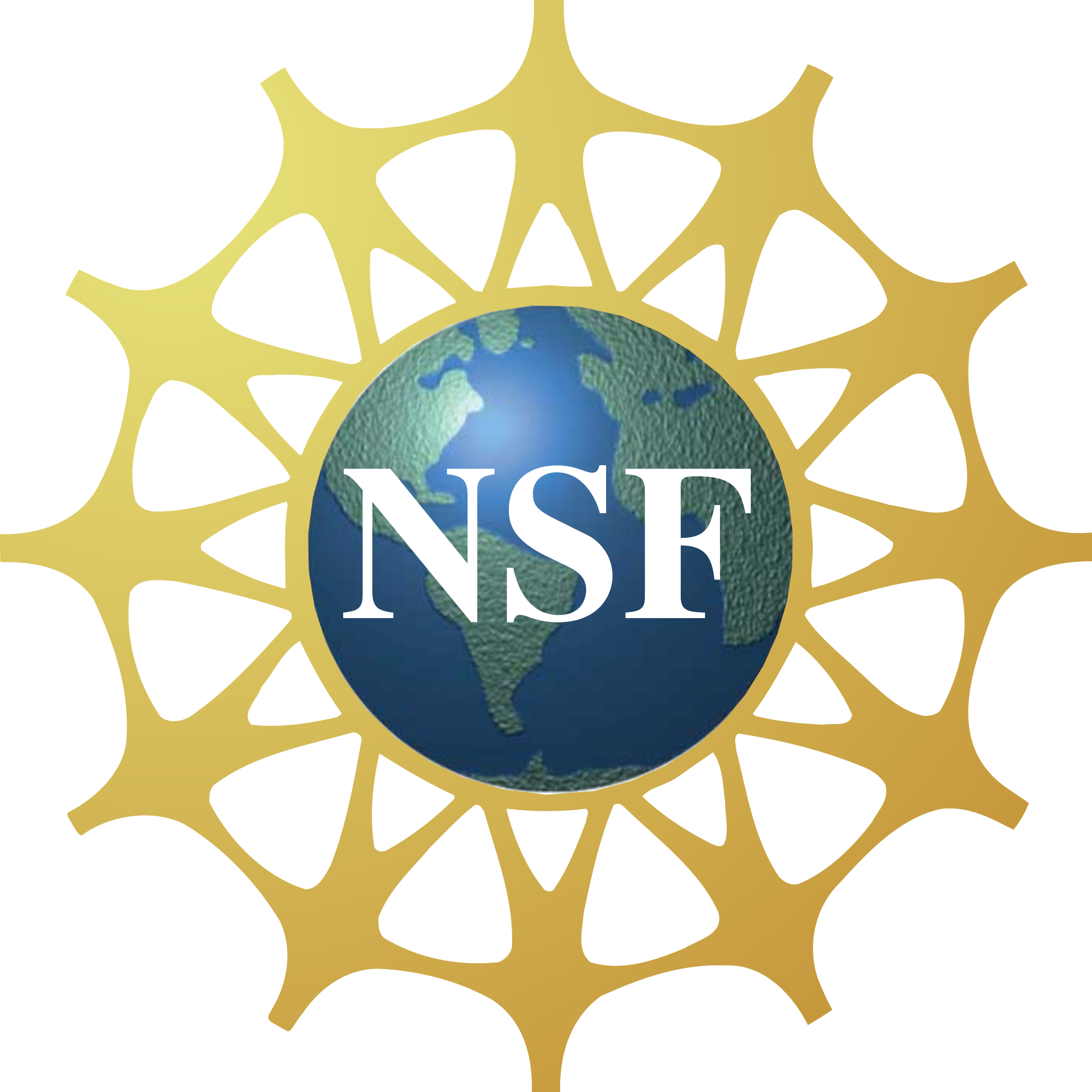 nsf logo.png