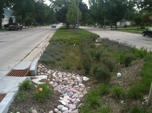 Improving stormwater function