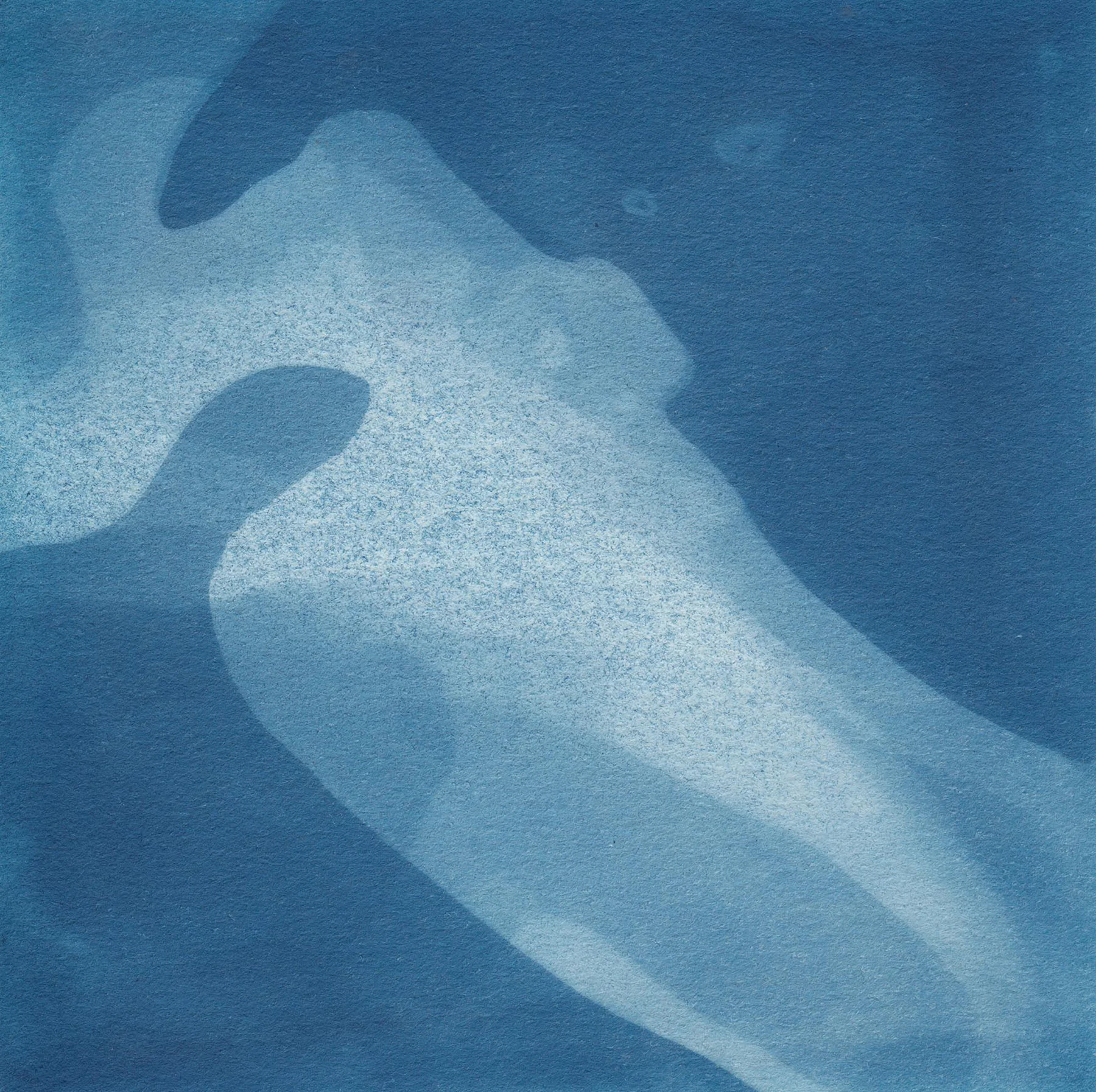 Cyanotype_02.jpg