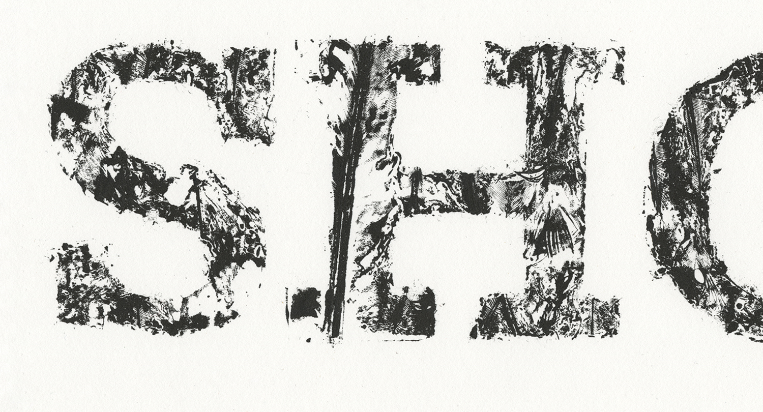Shot (detail) Letterpress, Pheasant Feathers