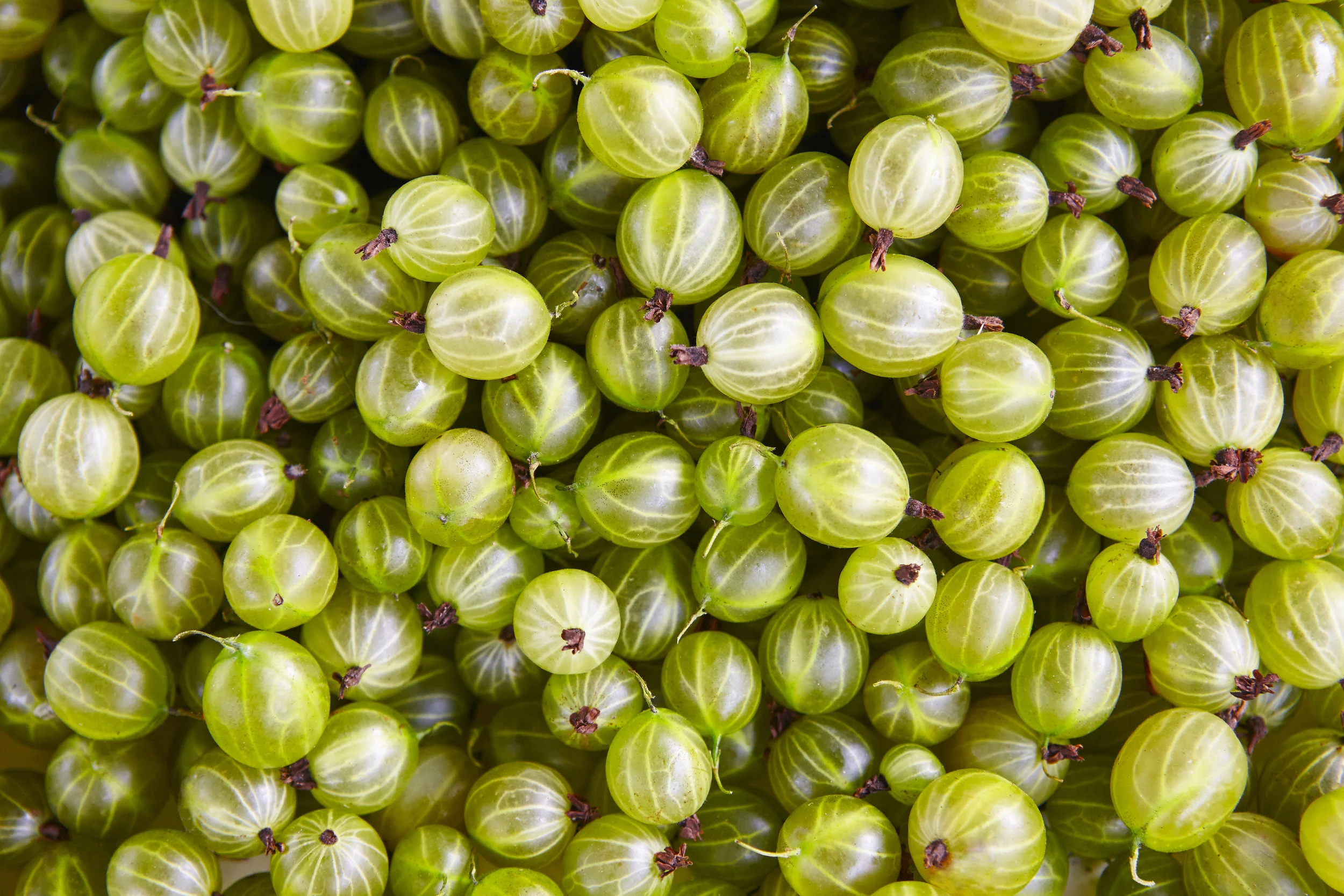 Healthy Alternatives For Your Favorite Indulgences