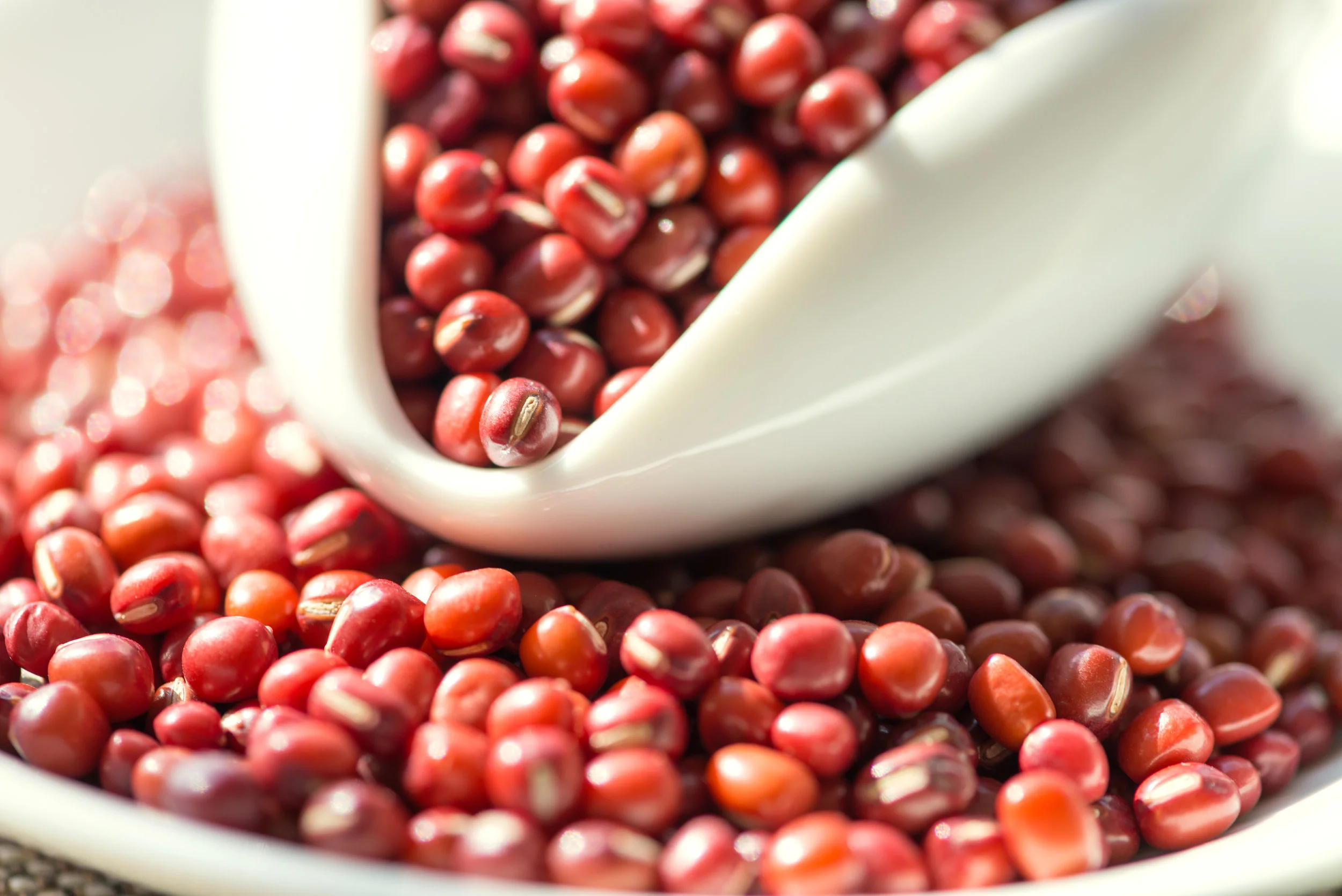grain-PDFVUAY.jpg