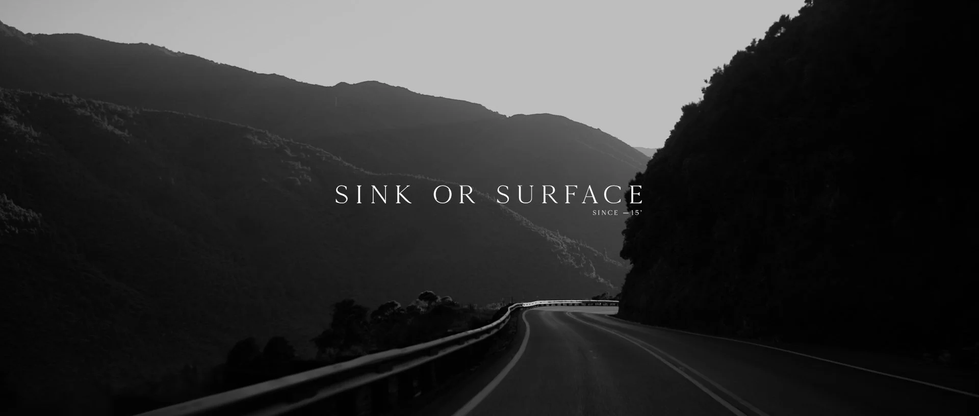 Sink or Surface Journal.jpg