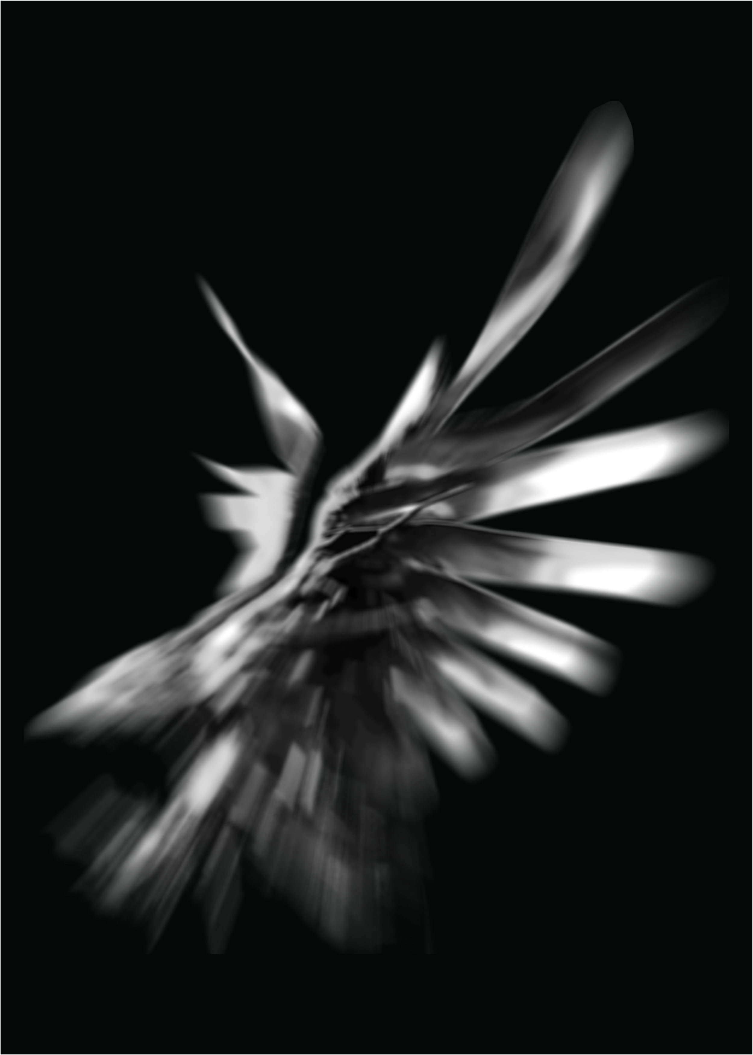 YORK-TEMPLATE-XRAY-03.png