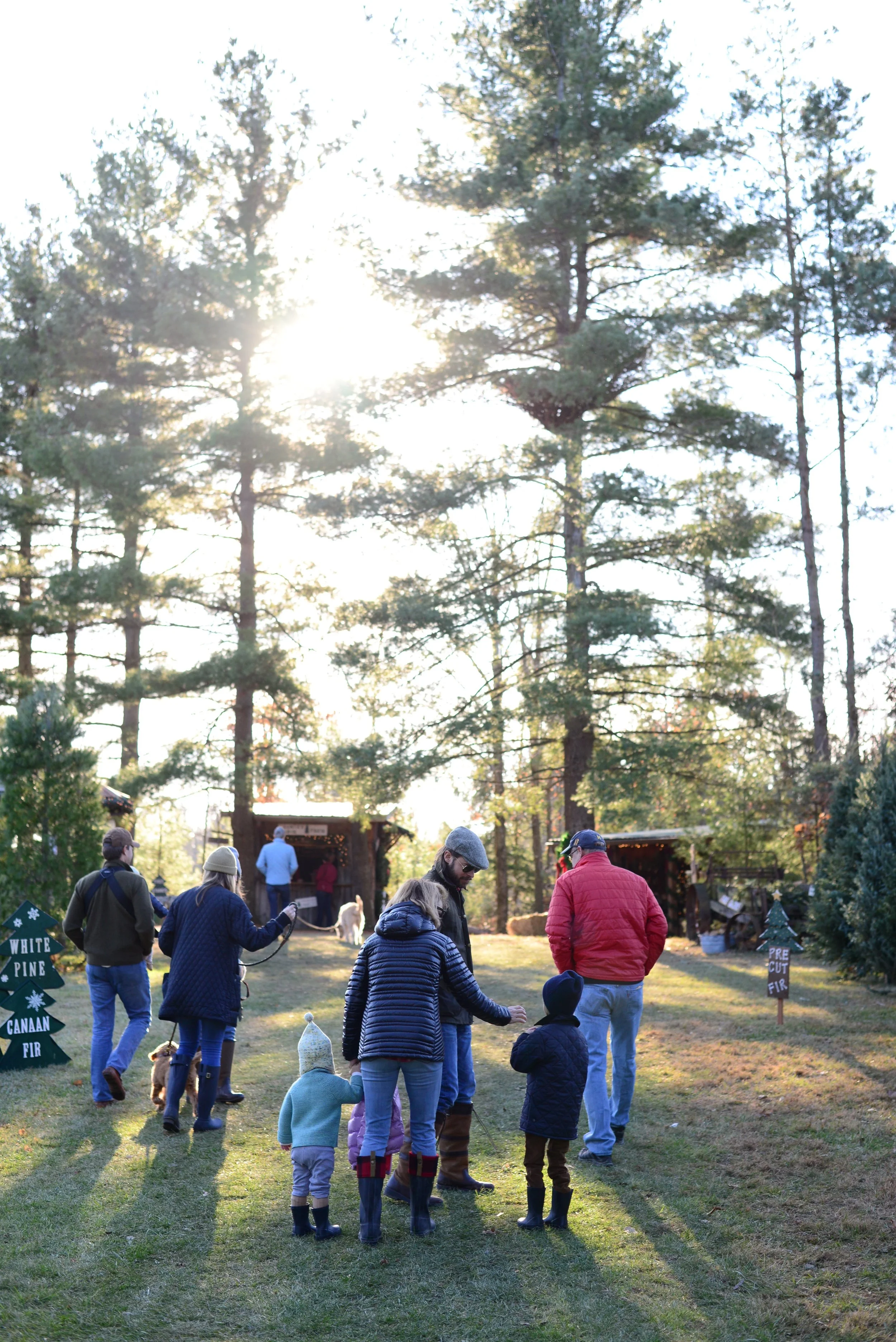DSC_1619.jpg