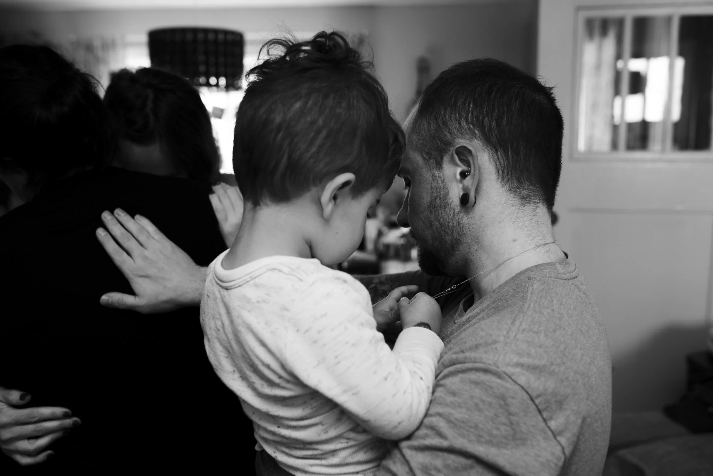 HardyBirthStory149.jpg
