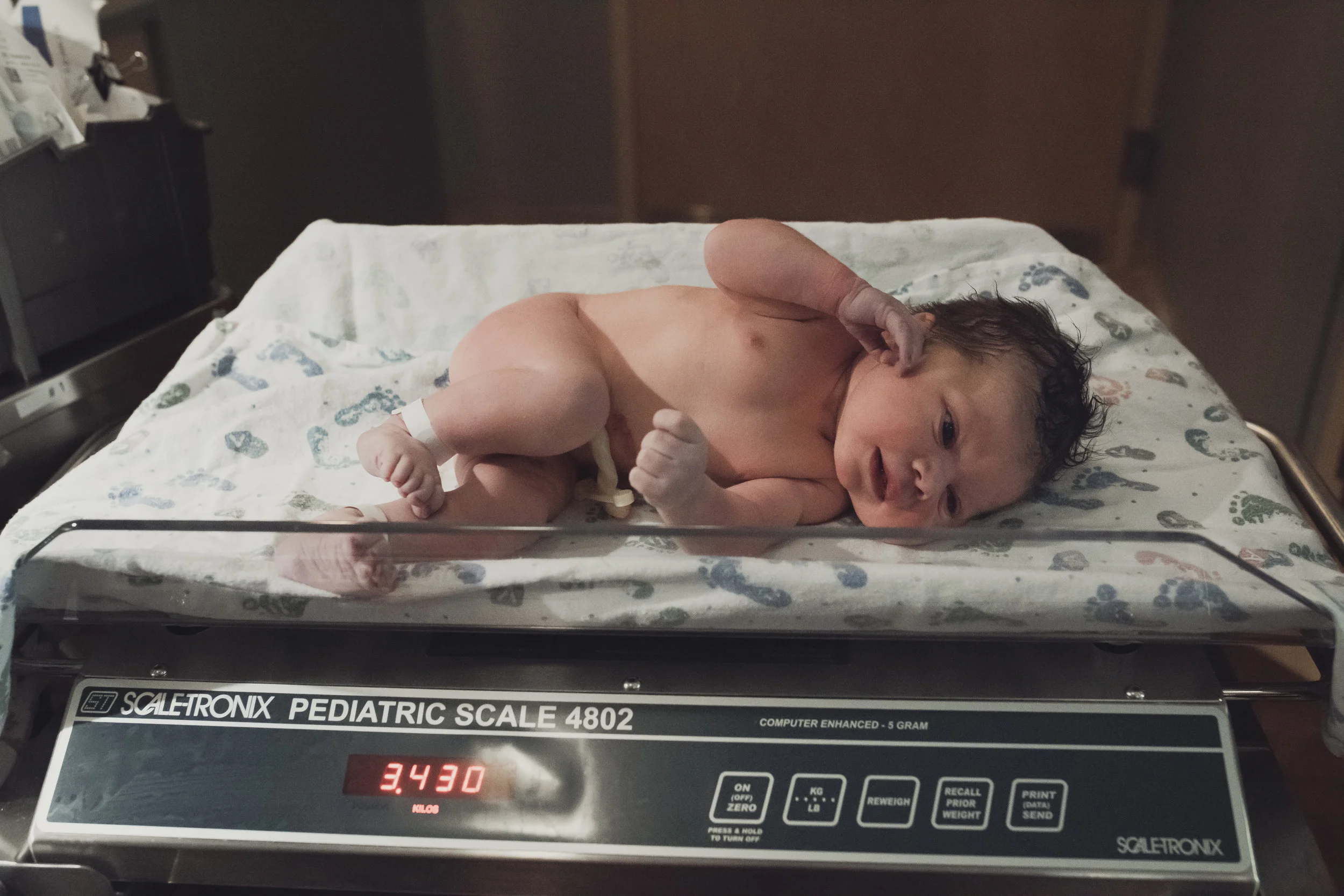 HardyBirthStory209.jpg
