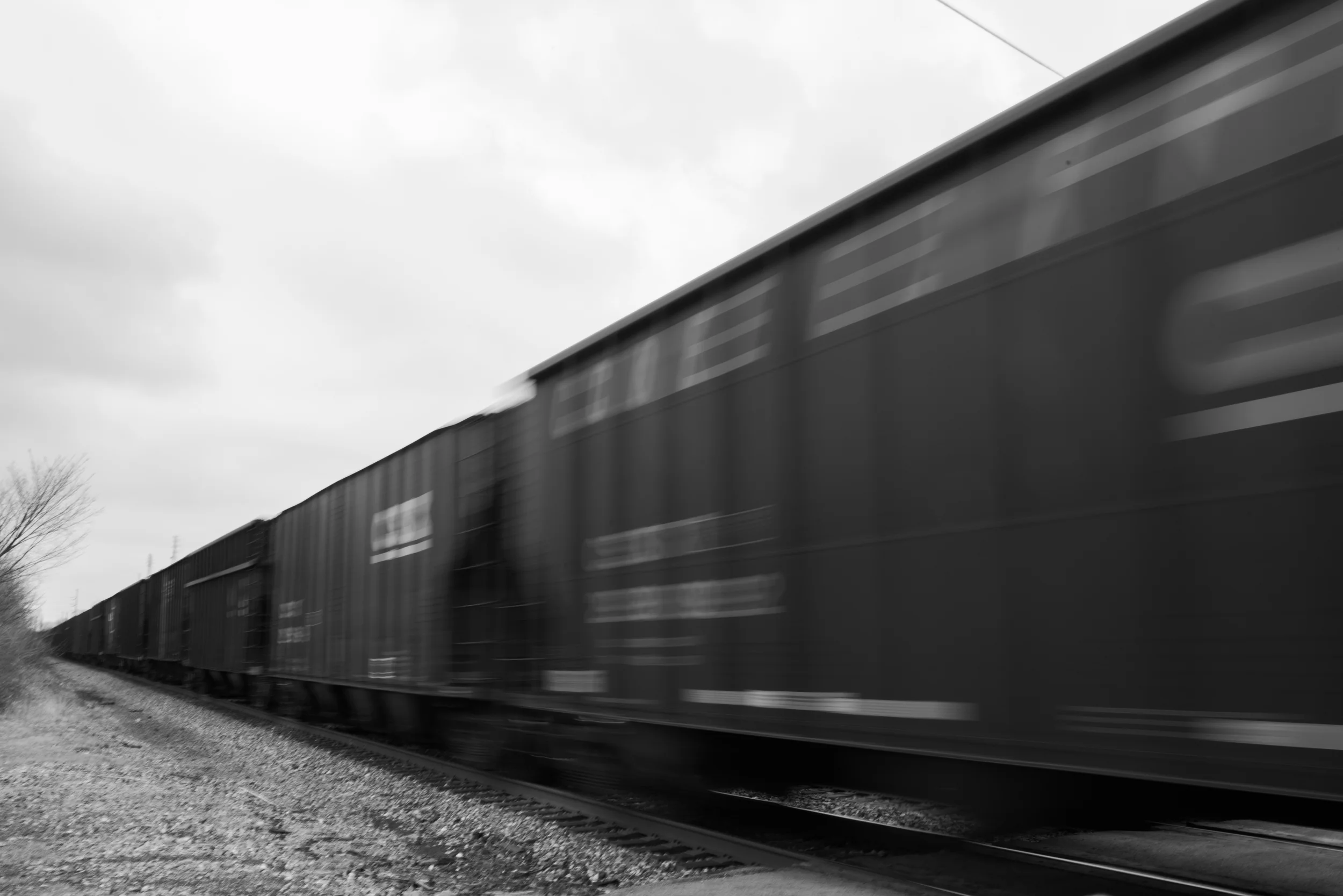 _S4C0411.jpg