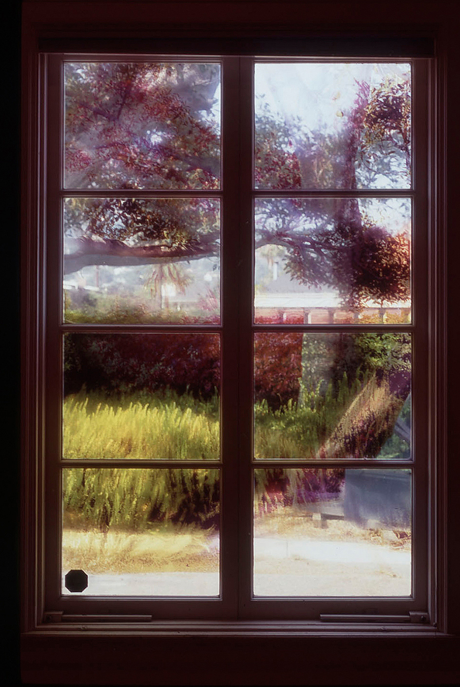 window9.jpg