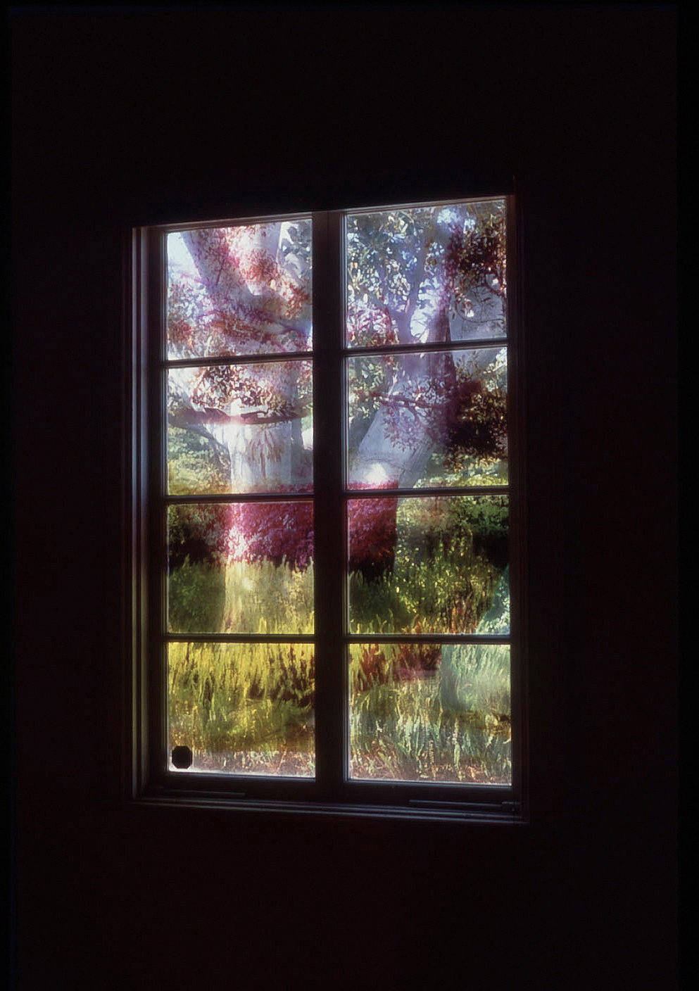 window2.jpg