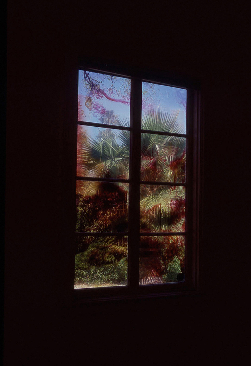 window8.jpg