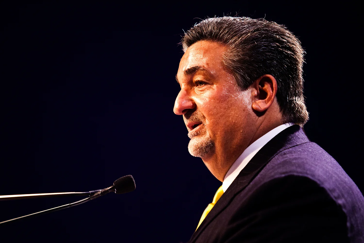 Washington Capitals Owner Ted Leonsis