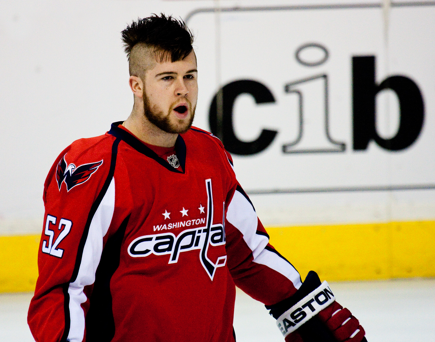 NHL Defenseman Mike Green