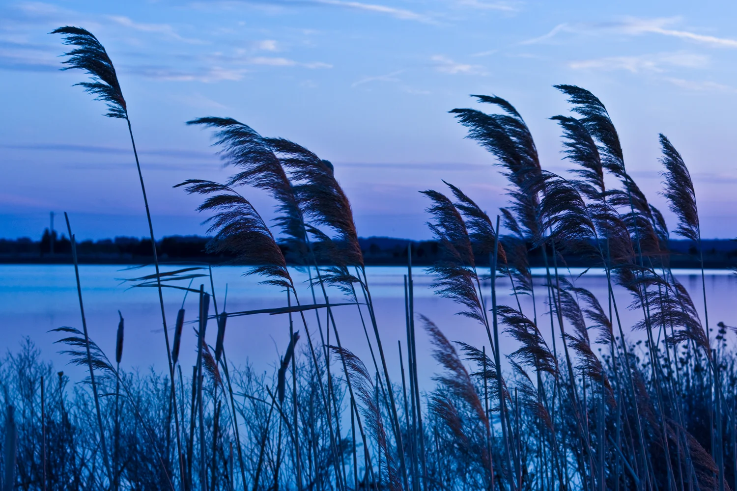UploadShore_005.jpg