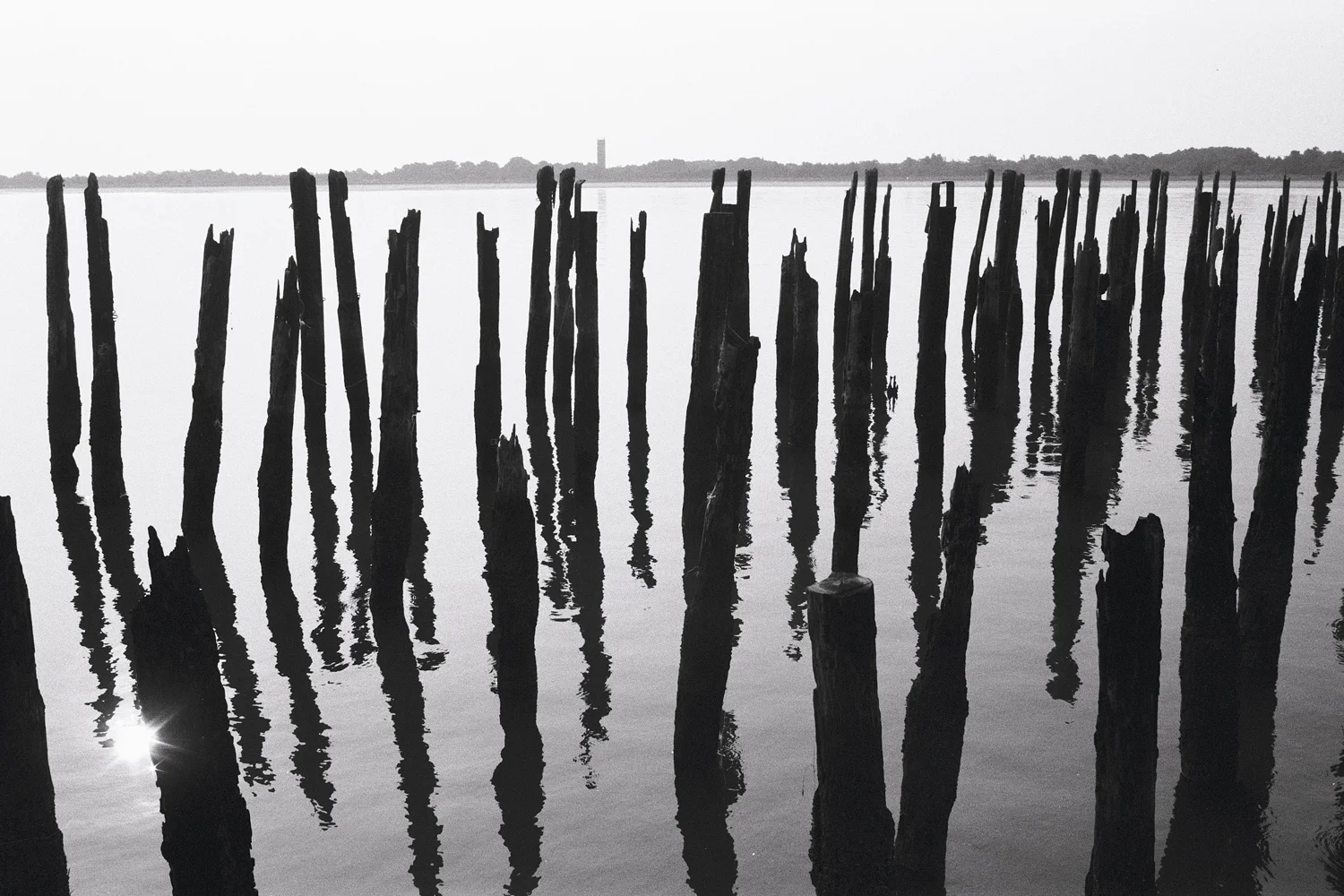 UploadShore_015.jpg