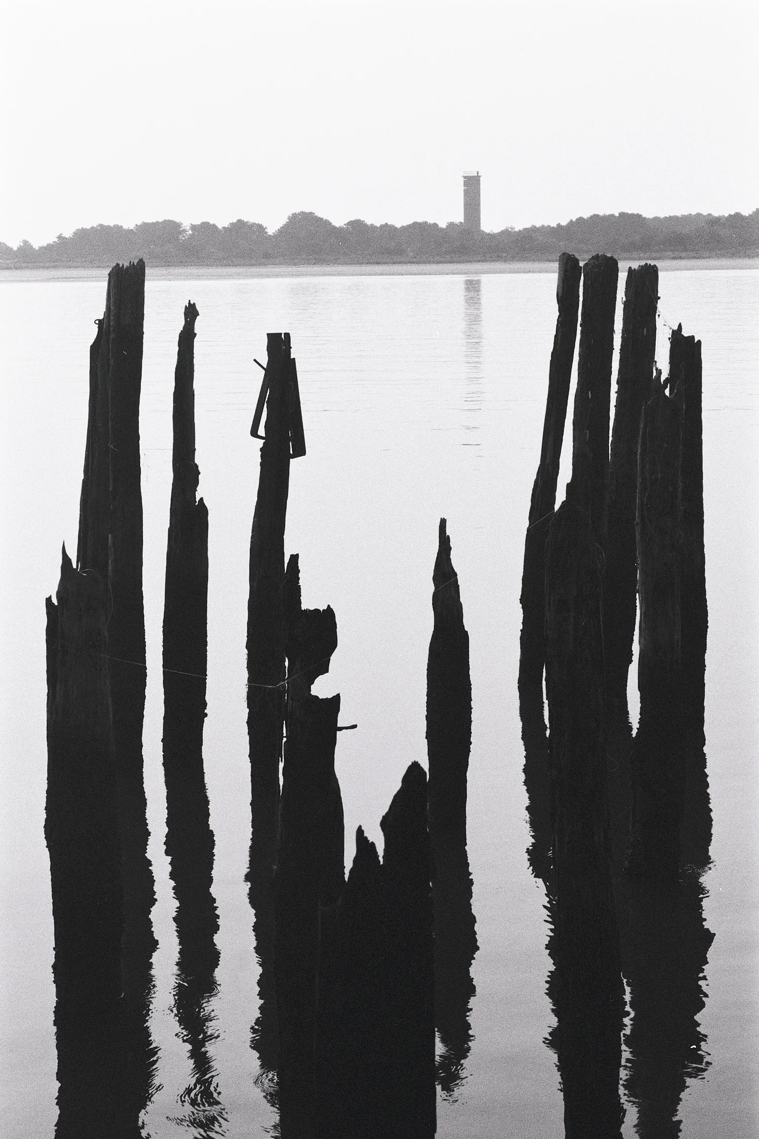 UploadShore_016.jpg