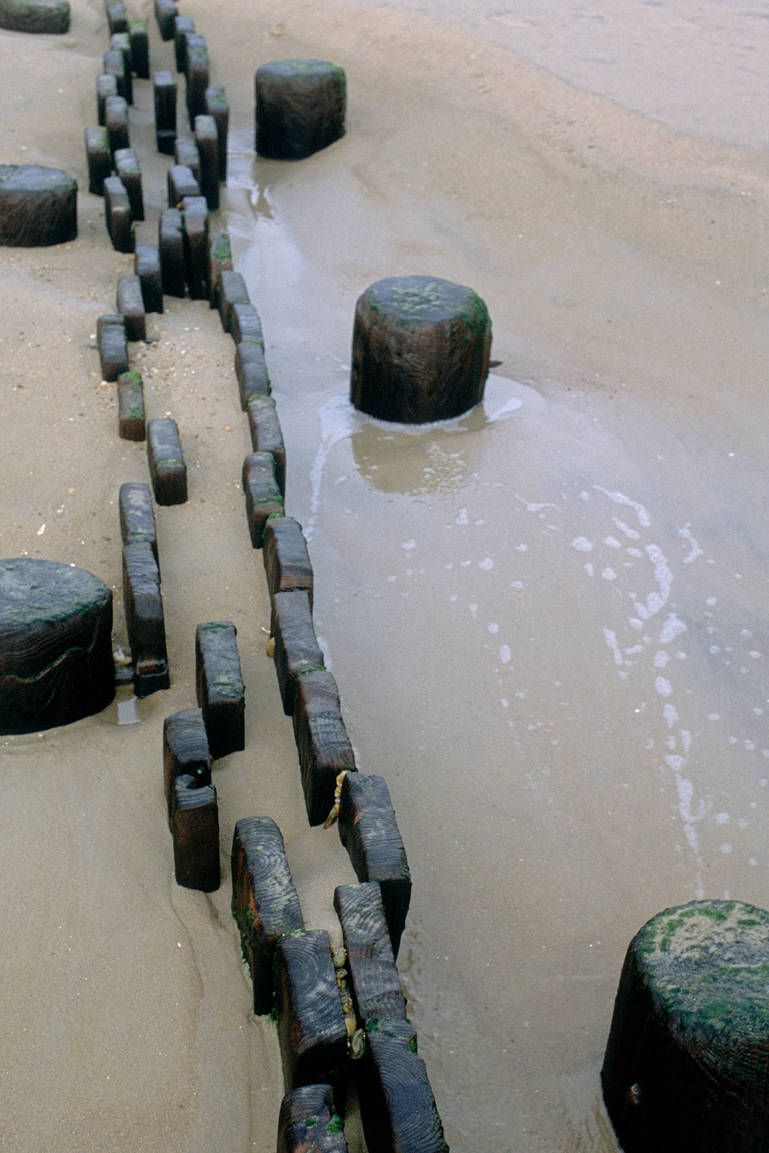 UploadShore_026.jpg