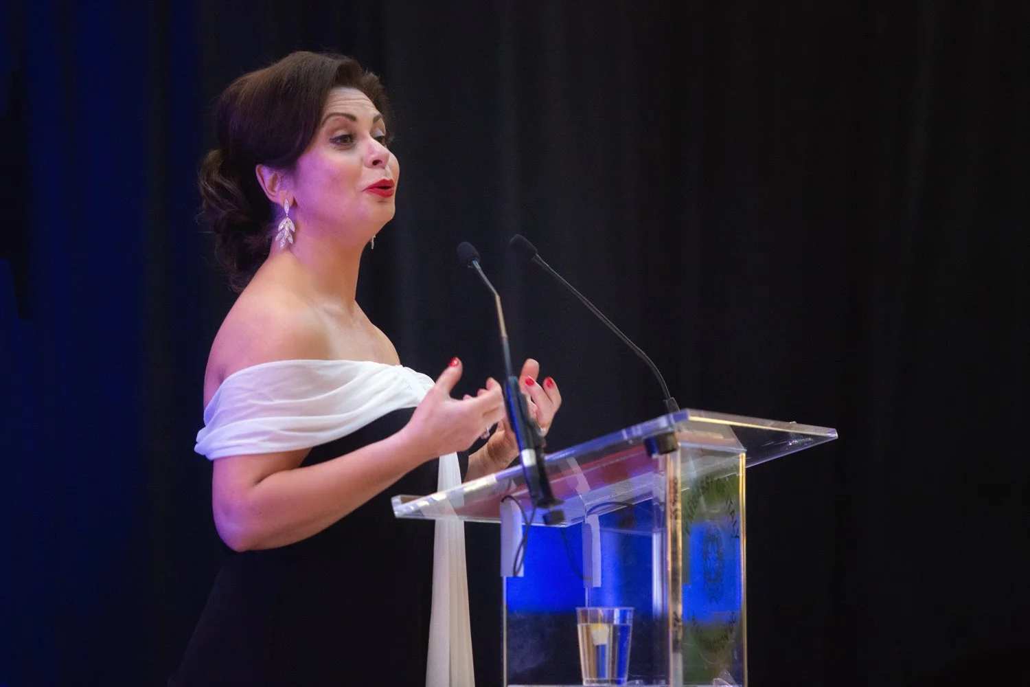 2026 Gala_061.jpg