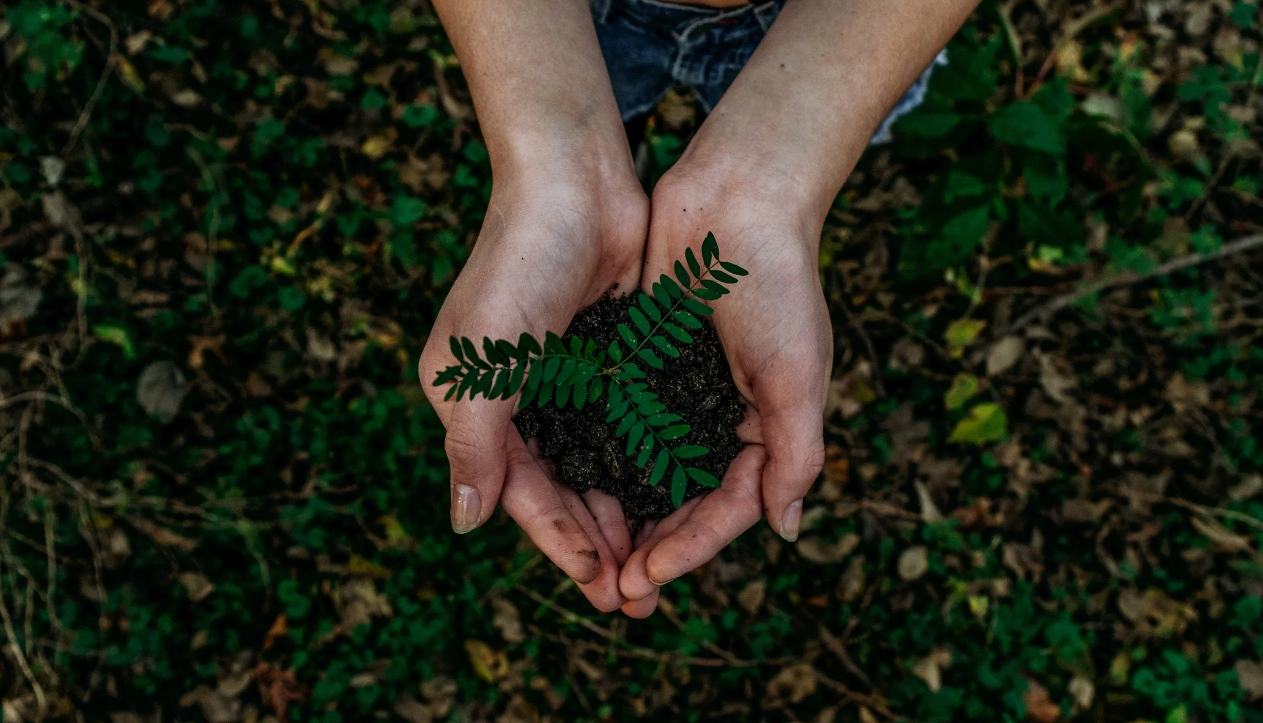 noah-buscher-1162202-unsplash.jpg