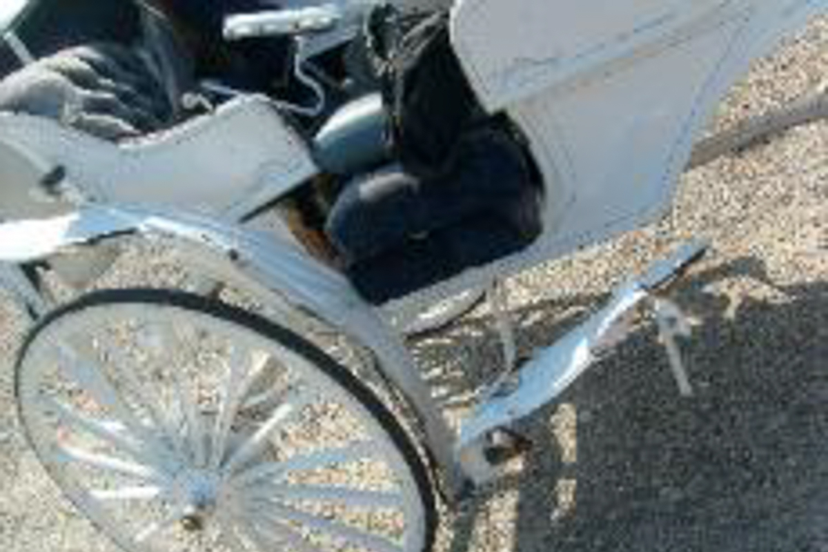 vis-a-vie-173-3.jpg