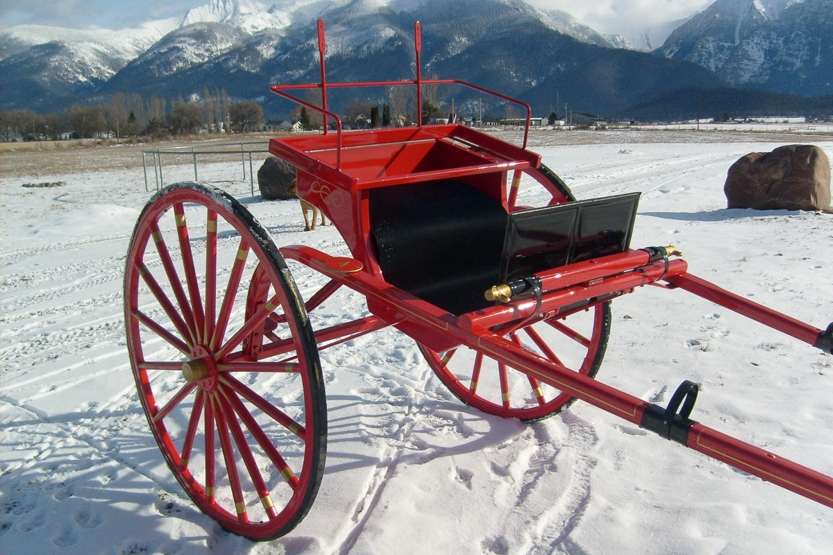 show-cart-6300727.jpg