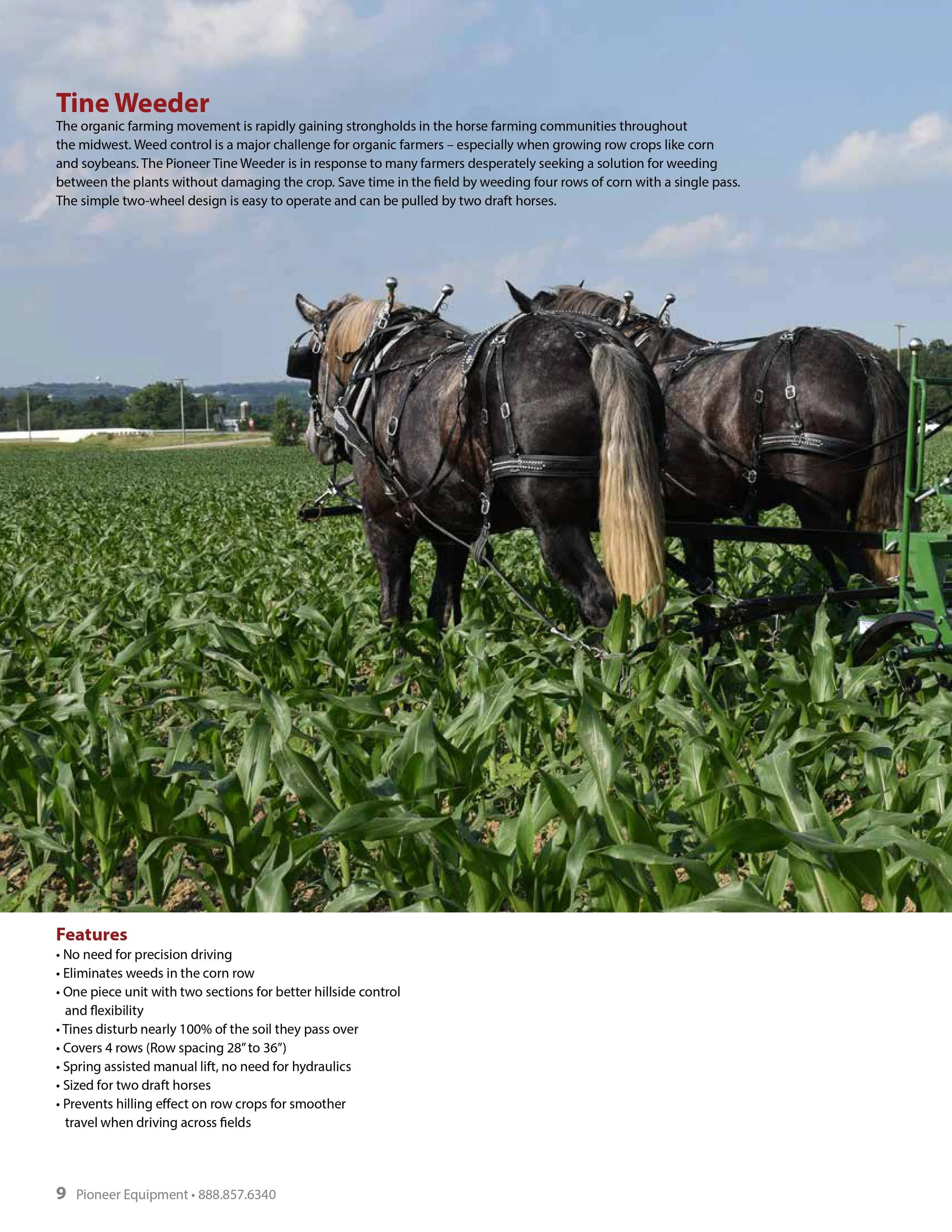 What equipment do I need to start a garden? | Green Tractor Talk, image size:2500x3235