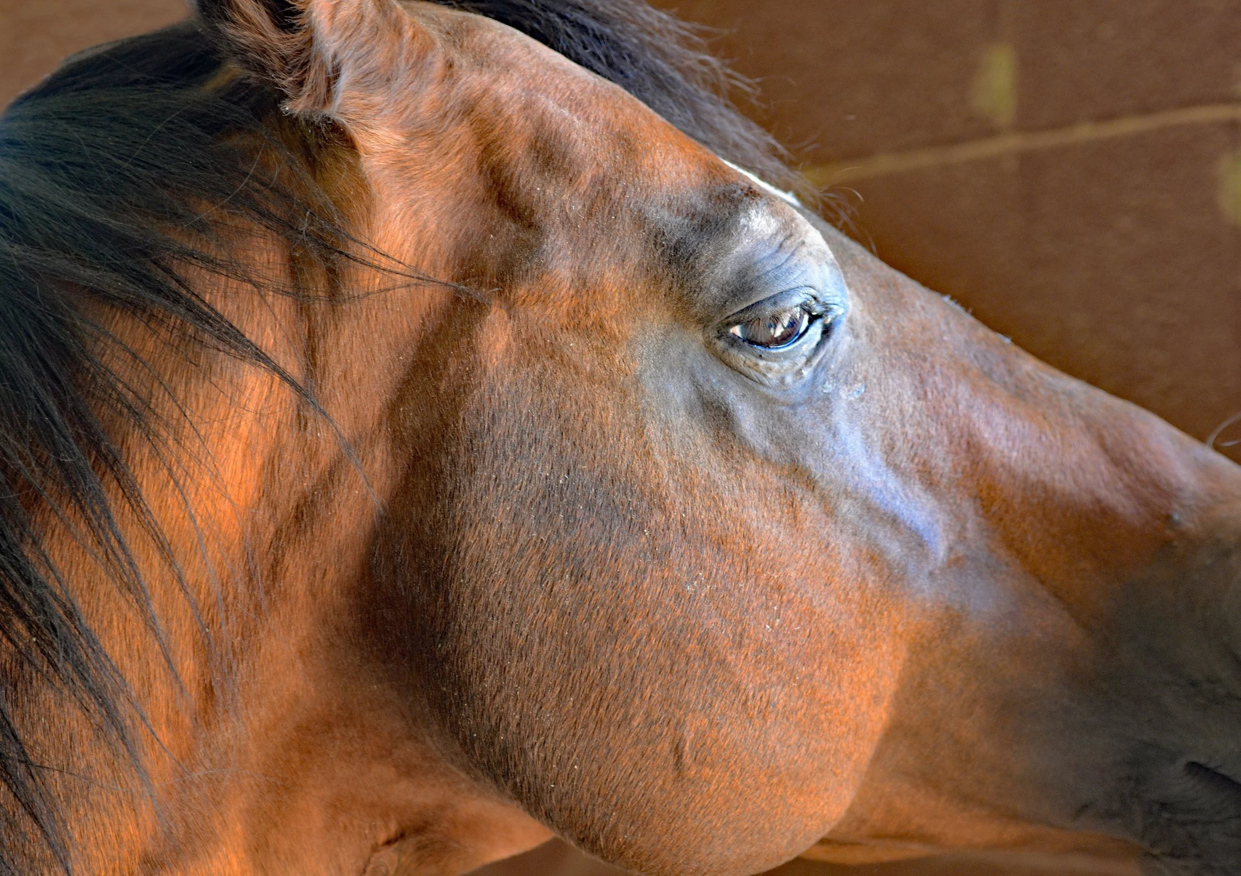 Dash for Cash Tom Ferry.jpeg