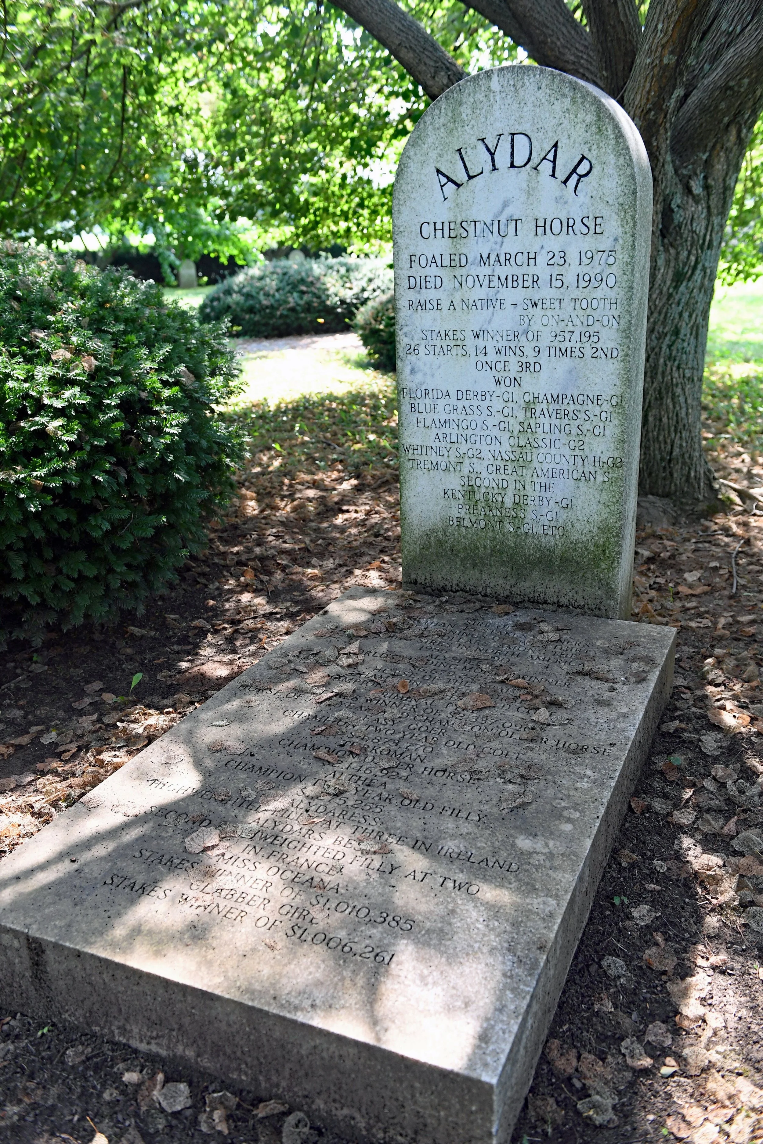 Alydar Tom Ferry.jpeg