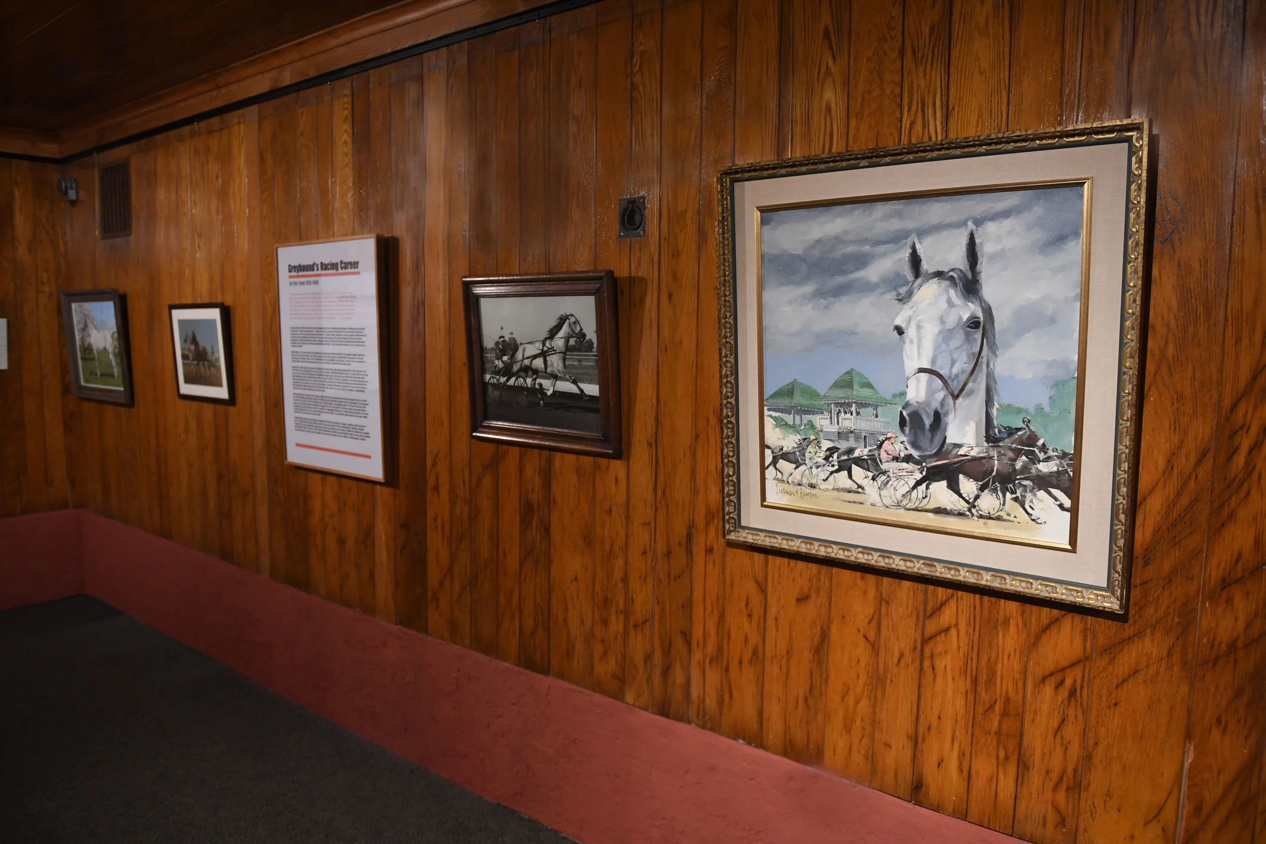 Greyhound Memorobilia Tom Ferry.jpeg