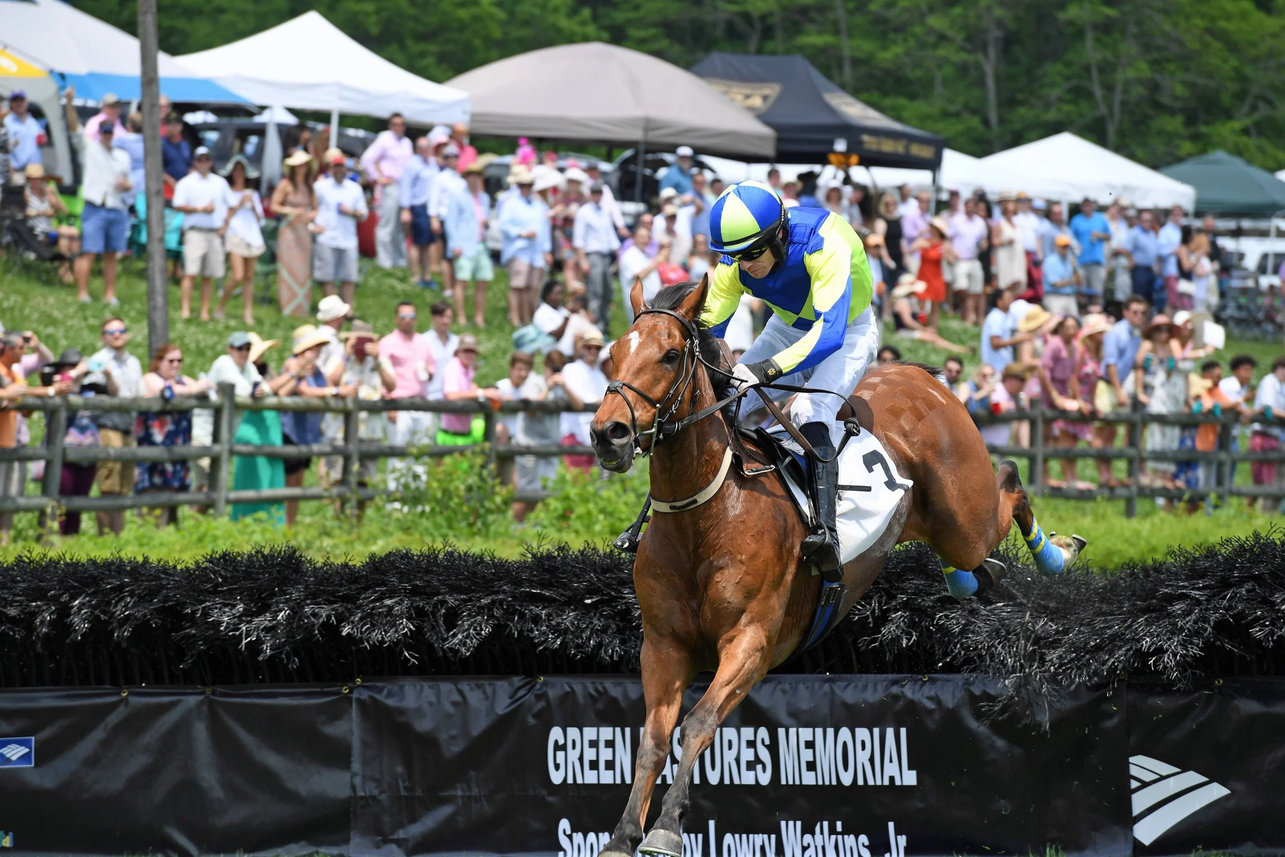 Iroqouis Steeplechase 2 Tom Ferry.jpeg