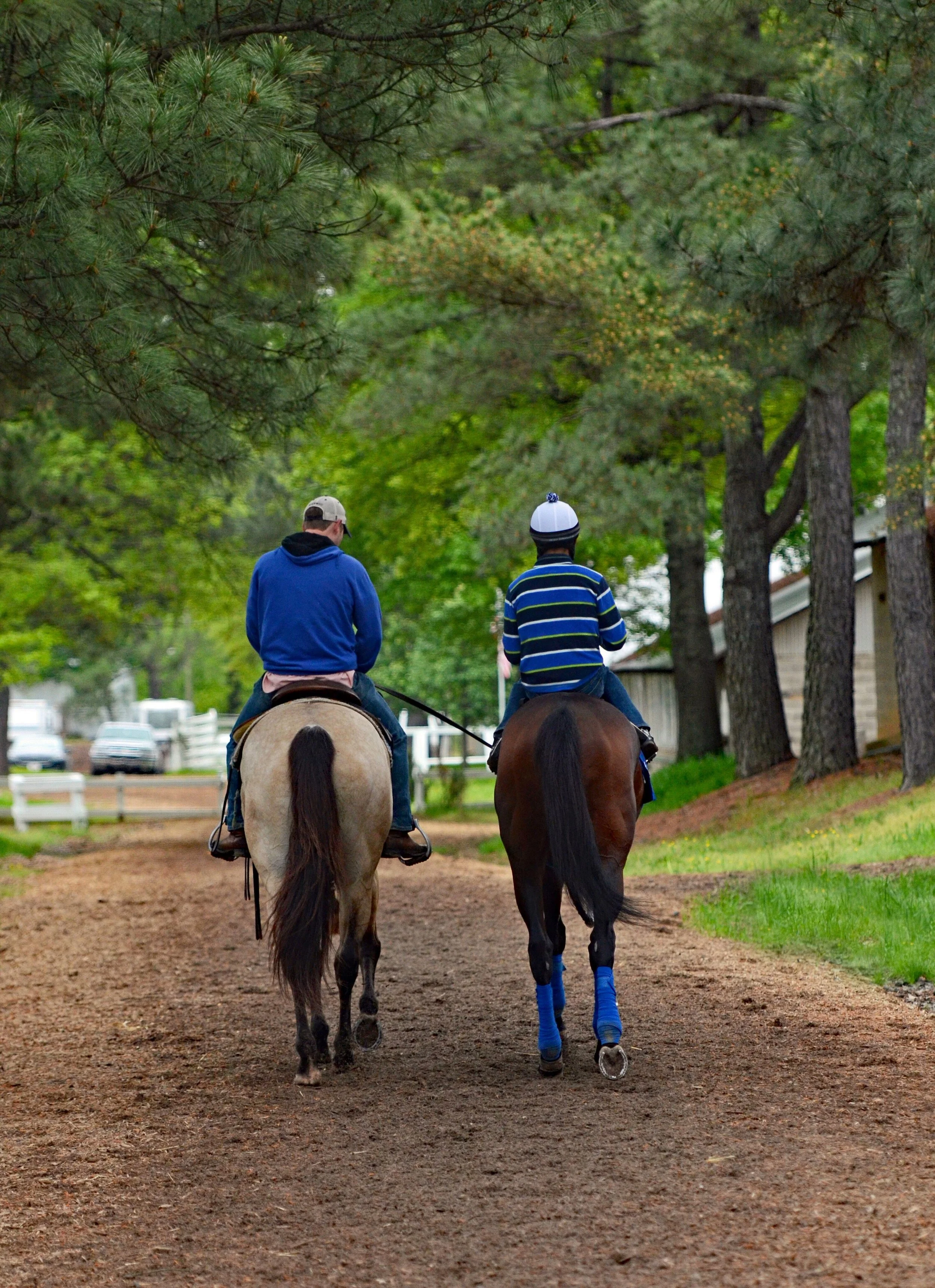 Oaklawn Backside Tom Ferry.jpeg